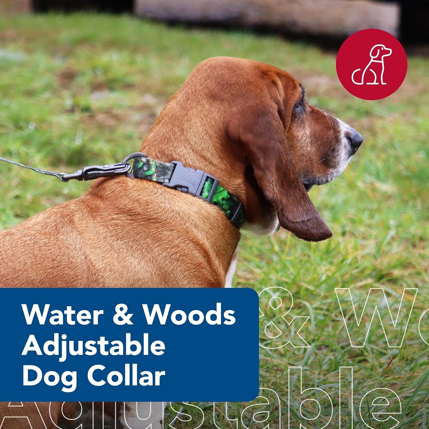 image:imageCoastal Pet Water amp Woods Adjustable Dog Collar Durable Dog Collar with Curved Snap Lock Buckle Patterned Collar for Dog Stylish amp Adjustable Safety Orange Medium 1 x 1420NWTF Obsession