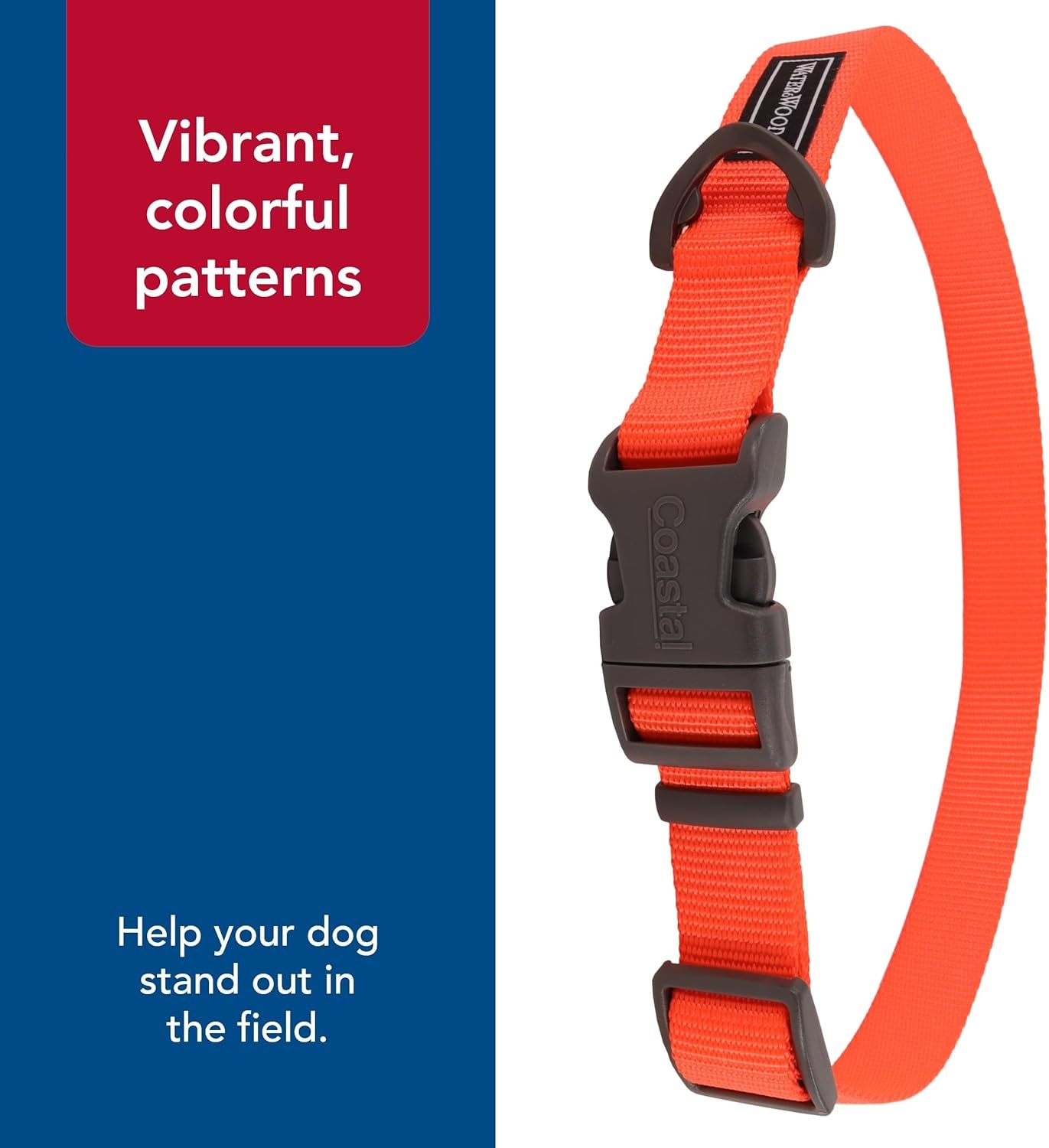 image:imageCoastal Pet Water amp Woods Adjustable Dog Collar Durable Dog Collar with Curved Snap Lock Buckle Patterned Collar for Dog Stylish amp Adjustable Safety Orange Medium 1 x 1420Safety Orange