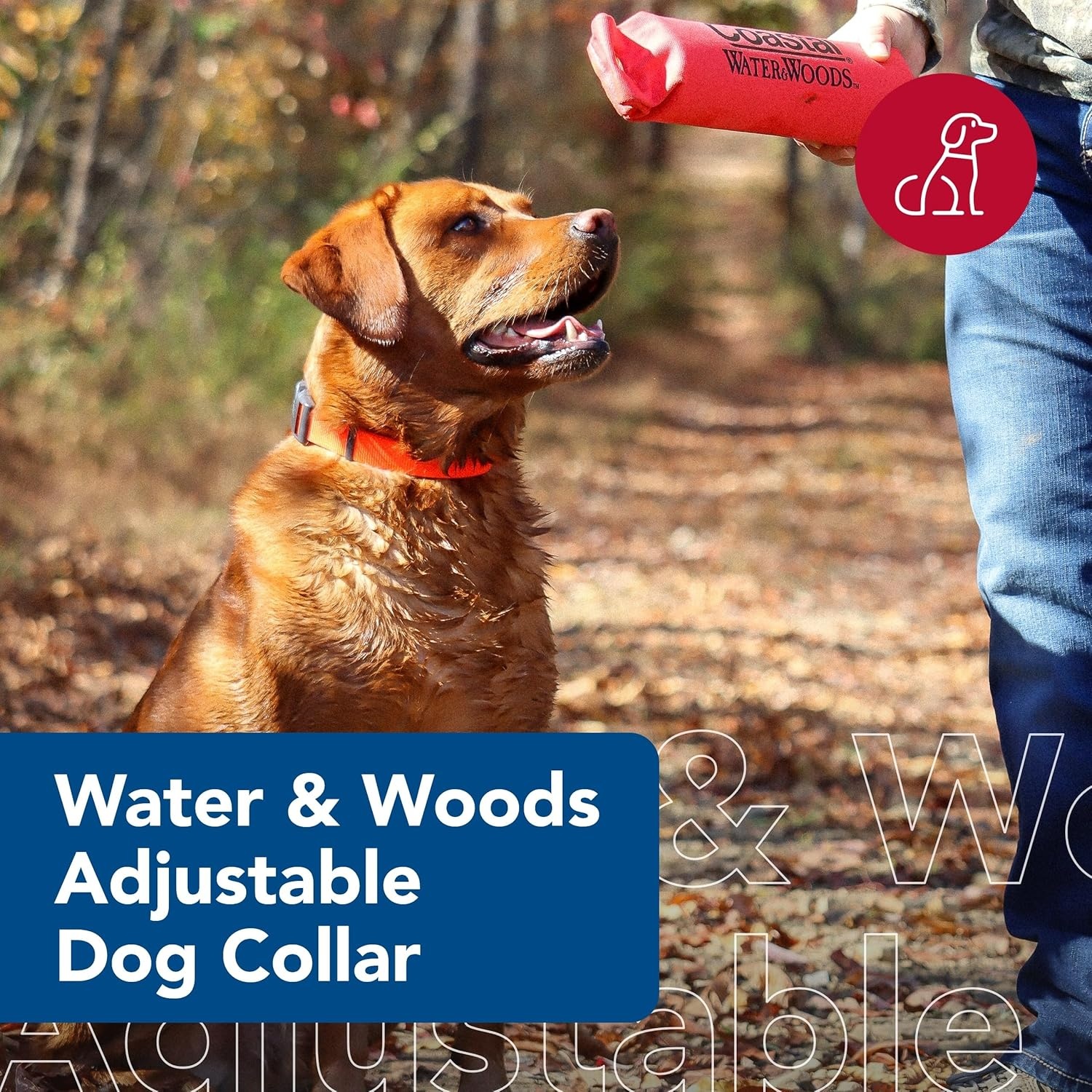 image:imageCoastal Pet Water amp Woods Adjustable Dog Collar Durable Dog Collar with Curved Snap Lock Buckle Patterned Collar for Dog Stylish amp Adjustable Safety Orange Medium 1 x 1420Safety Orange
