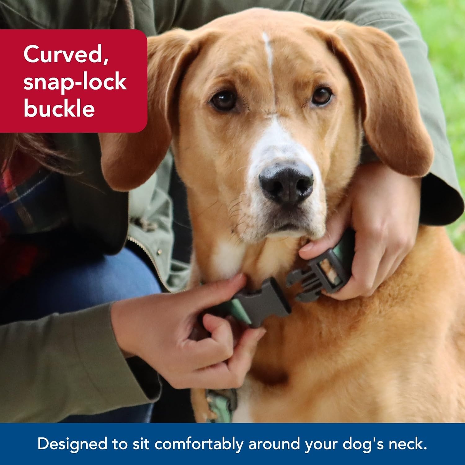 image:imageCoastal Pet Water amp Woods Adjustable Dog Collar Durable Dog Collar with Curved Snap Lock Buckle Patterned Collar for Dog Stylish amp Adjustable Safety Orange Medium 1 x 1420Country Roots Equinox