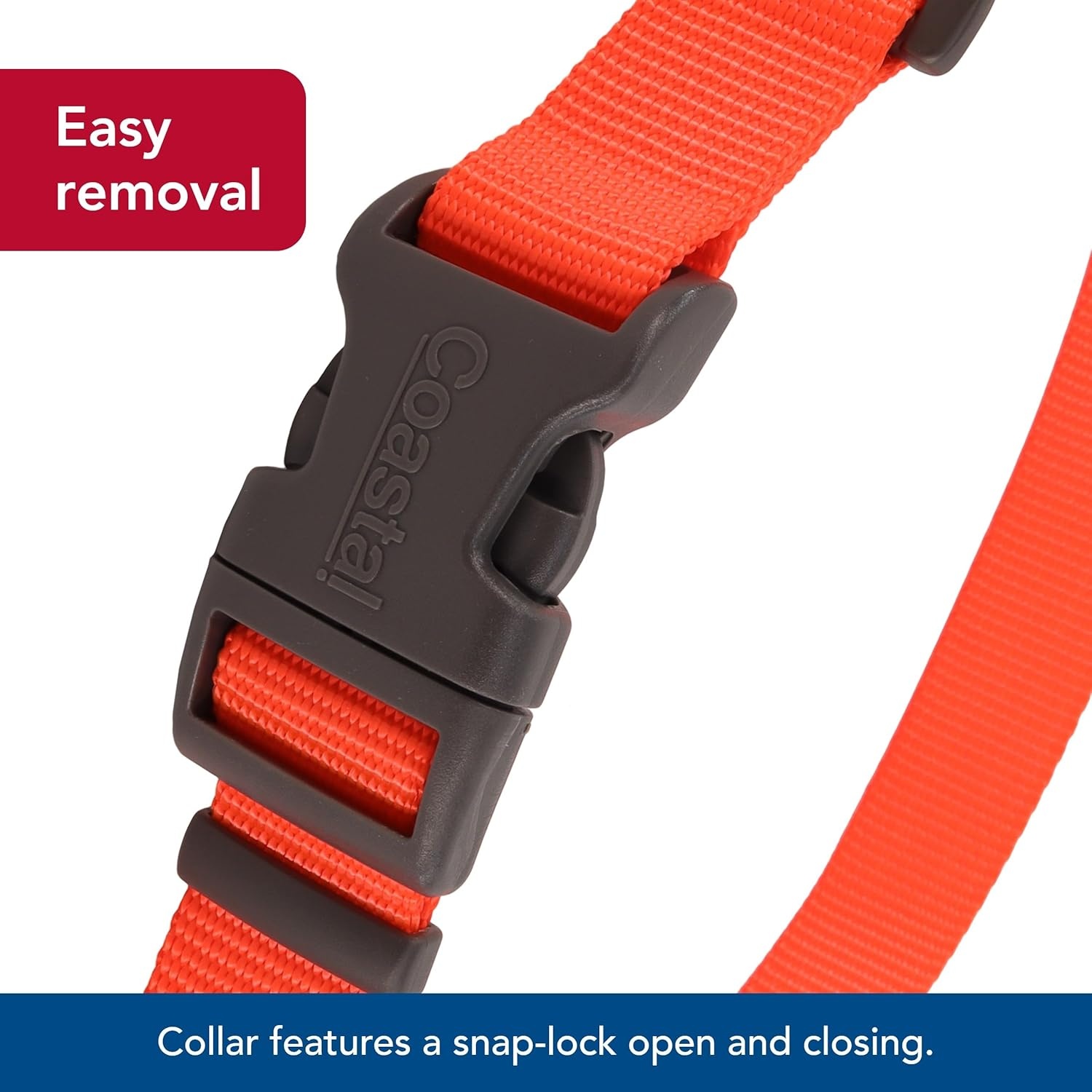 image:imageCoastal Pet Water amp Woods Adjustable Dog Collar Durable Dog Collar with Curved Snap Lock Buckle Patterned Collar for Dog Stylish amp Adjustable Safety Orange Medium 1 x 1420Safety Orange