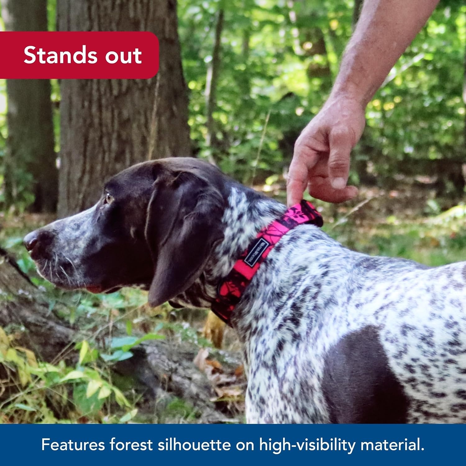 image:imageCoastal Pet Water amp Woods Blaze Adjustable Patterned Dog Collar by Coastal Pet Durable SnapLock Buckle Highly Visible with Forest Silhouette Pattern Orange Tree Medium 1 x 1420Neon Pink Tree