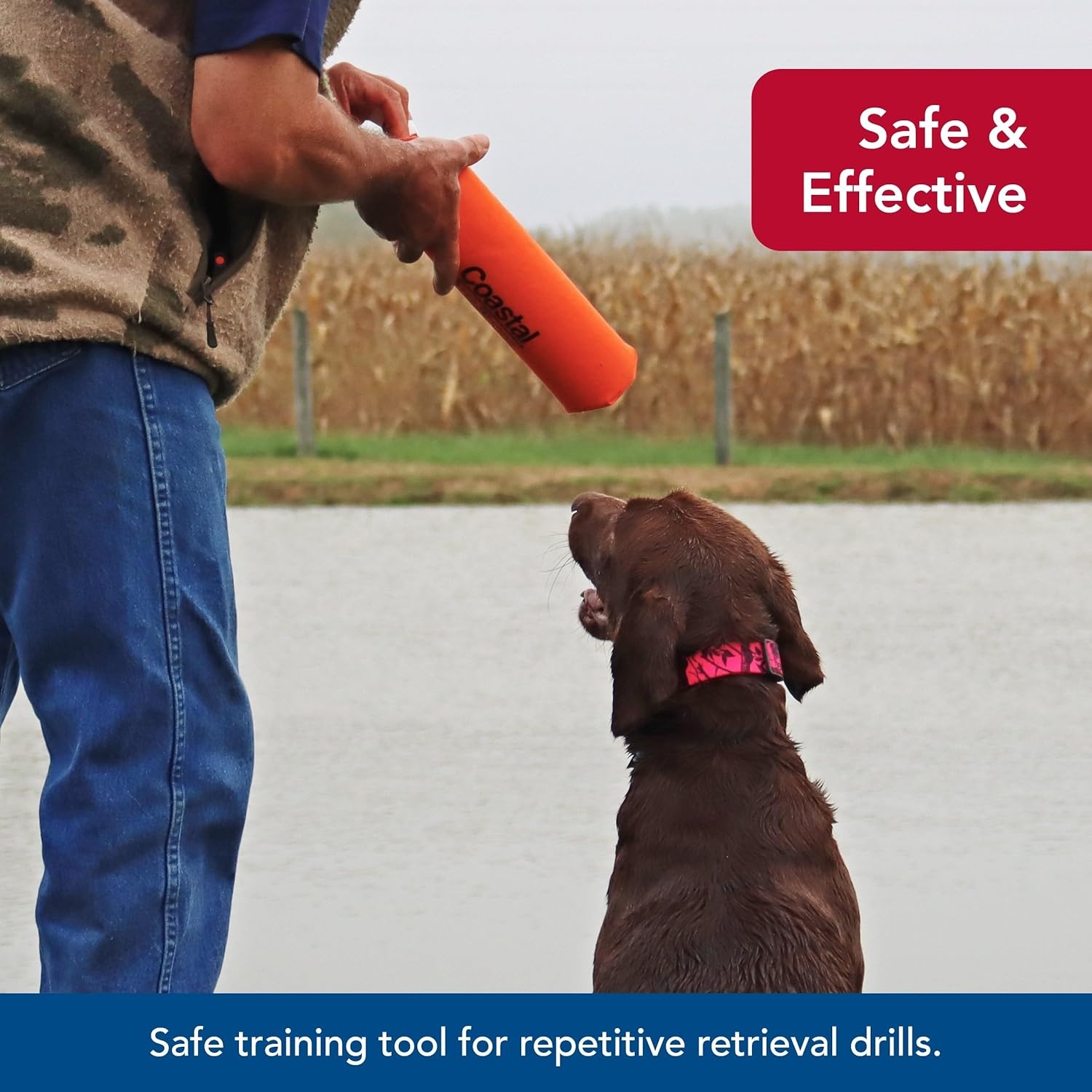 image:imageCoastal Pet Water amp Woods Canvas Dog Training Dummies Pet Improves Dog Hunting Skills Durable Canvas Material Safe Training Tool Natural 3 x 12Orange