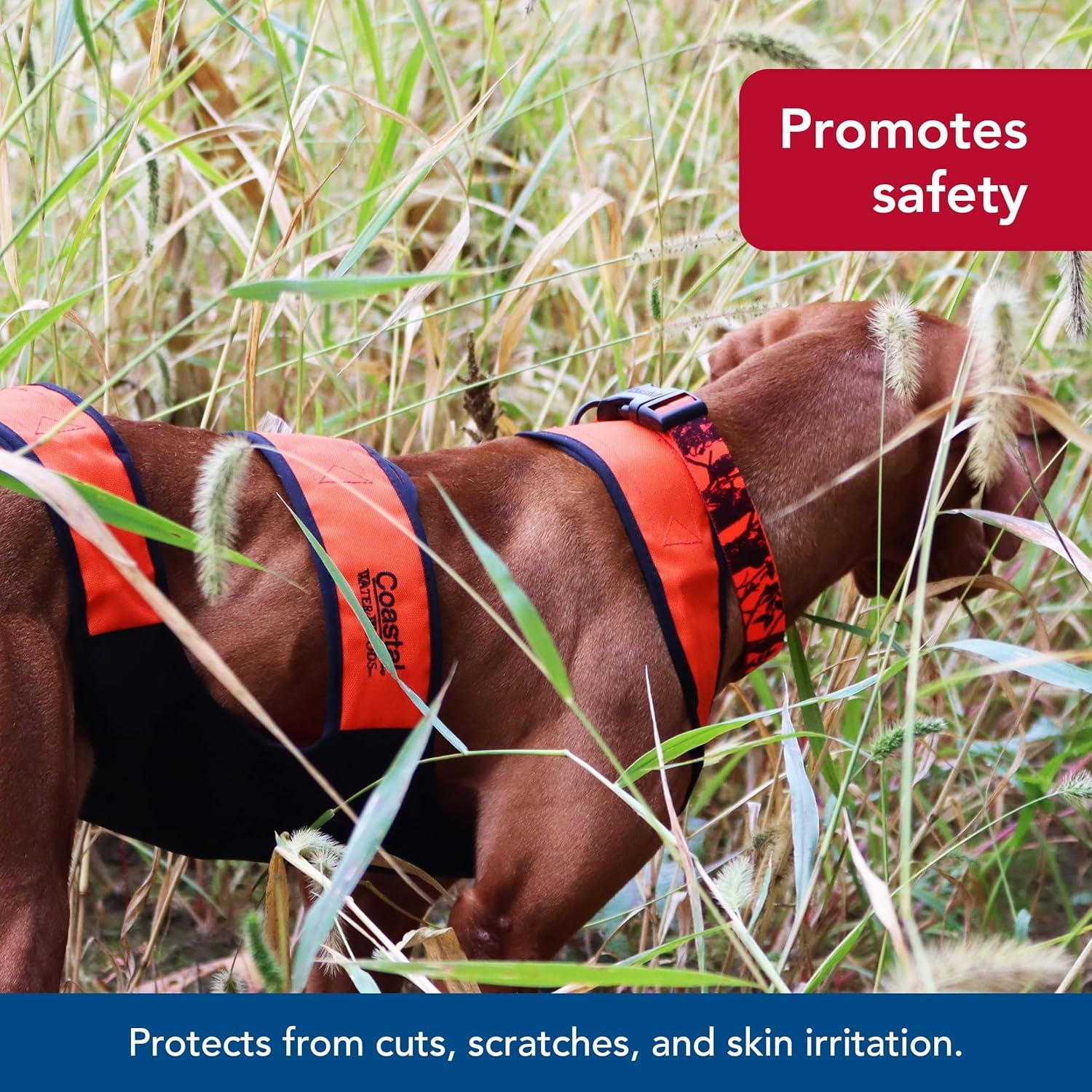 image:imageCoastal Pet Water amp Woods Dog Chest Protector by Coastal Pet Outdoor Safety Vest Protects From Cuts amp Prevents Skin Irritation No Movement Restriction Orange Medium 3660 lbs