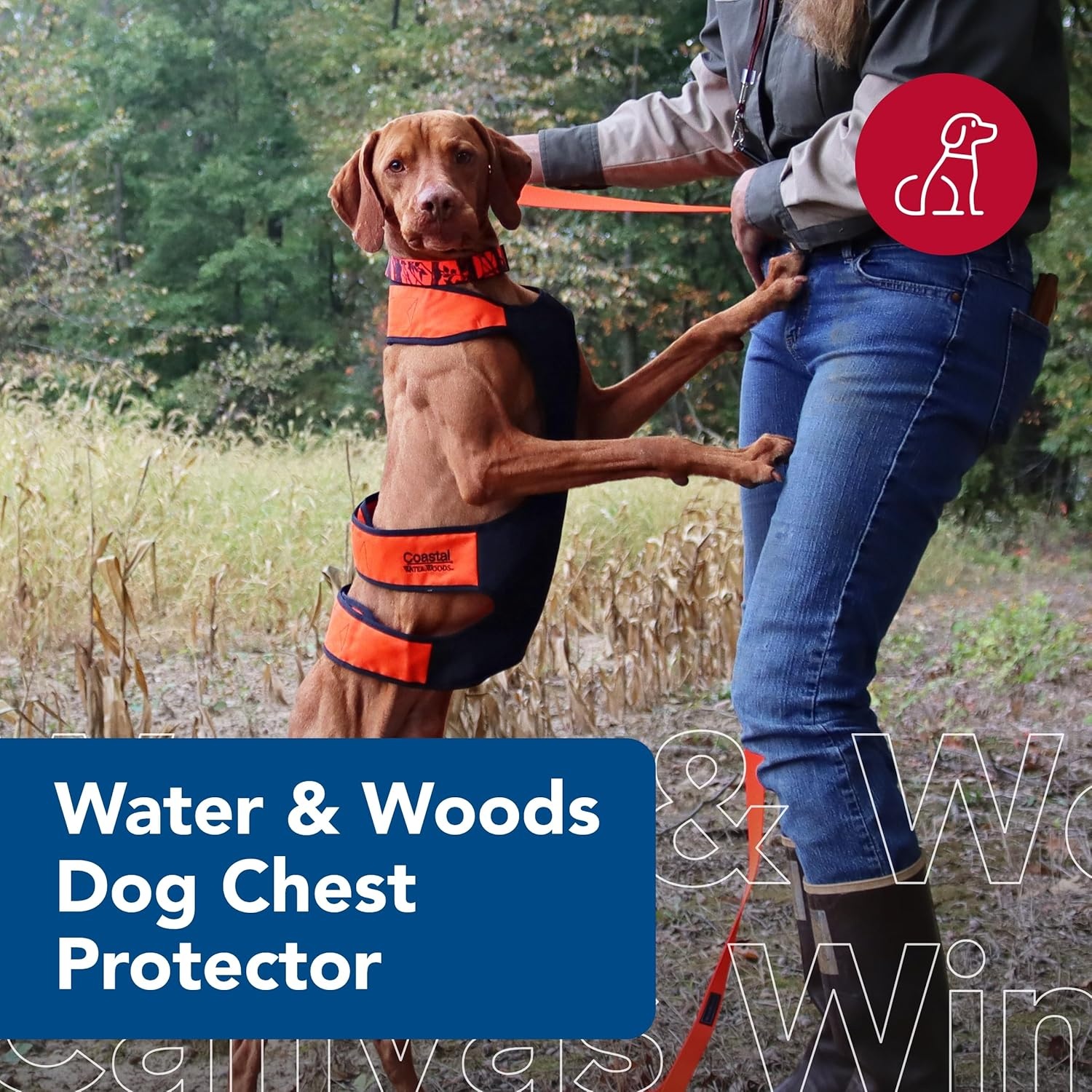 image:imageCoastal Pet Water amp Woods Dog Chest Protector by Coastal Pet Outdoor Safety Vest Protects From Cuts amp Prevents Skin Irritation No Movement Restriction Orange Medium 3660 lbs