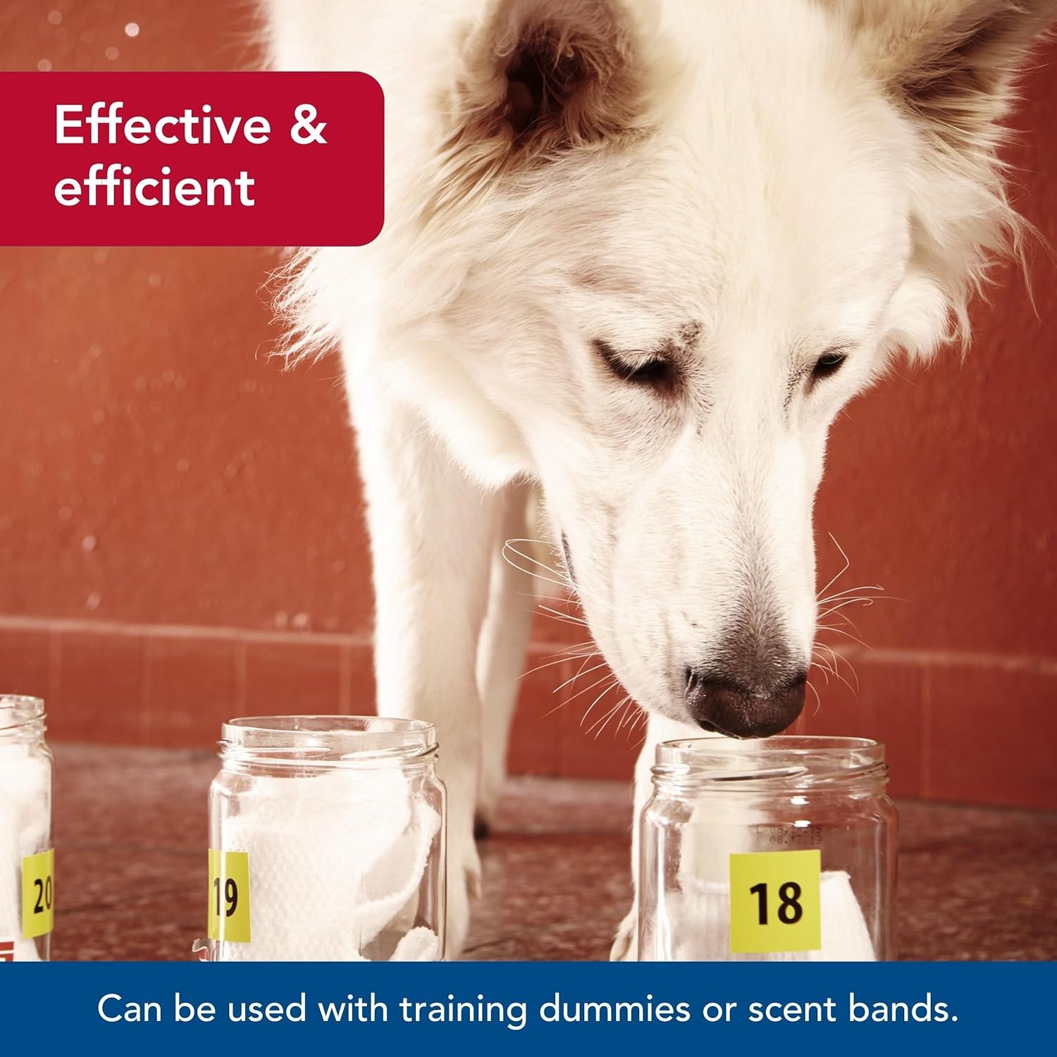 image:imageCoastal Pet Water amp Woods Dog Training Scents by Coastal Pet Maximum Potency Formula Concentrated Scent for Outdoor Training amp Hunting Duck 4 Fl Oz
