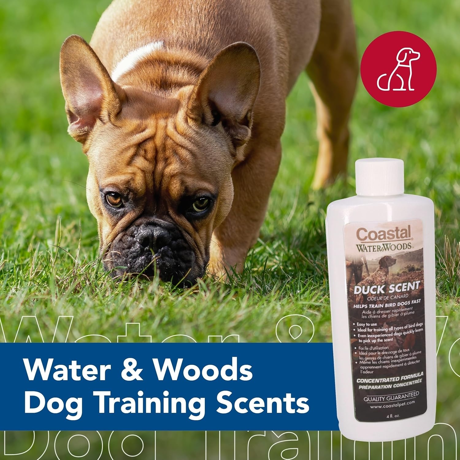 image:imageCoastal Pet Water amp Woods Dog Training Scents by Coastal Pet Maximum Potency Formula Concentrated Scent for Outdoor Training amp Hunting Duck 4 Fl Oz