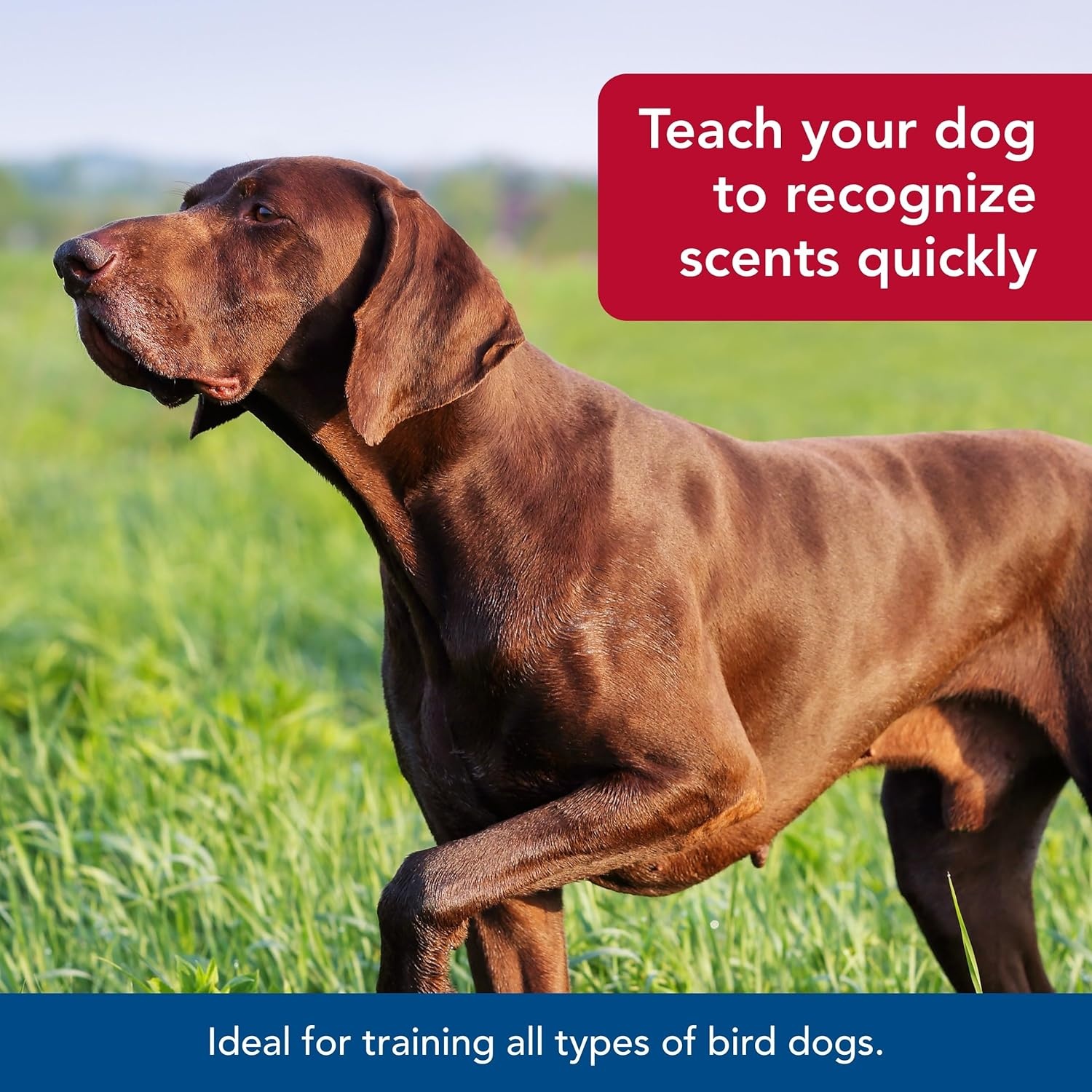 image:imageCoastal Pet Water amp Woods Dog Training Scents by Coastal Pet Maximum Potency Formula Concentrated Scent for Outdoor Training amp Hunting Pheasant 4 Fl Oz