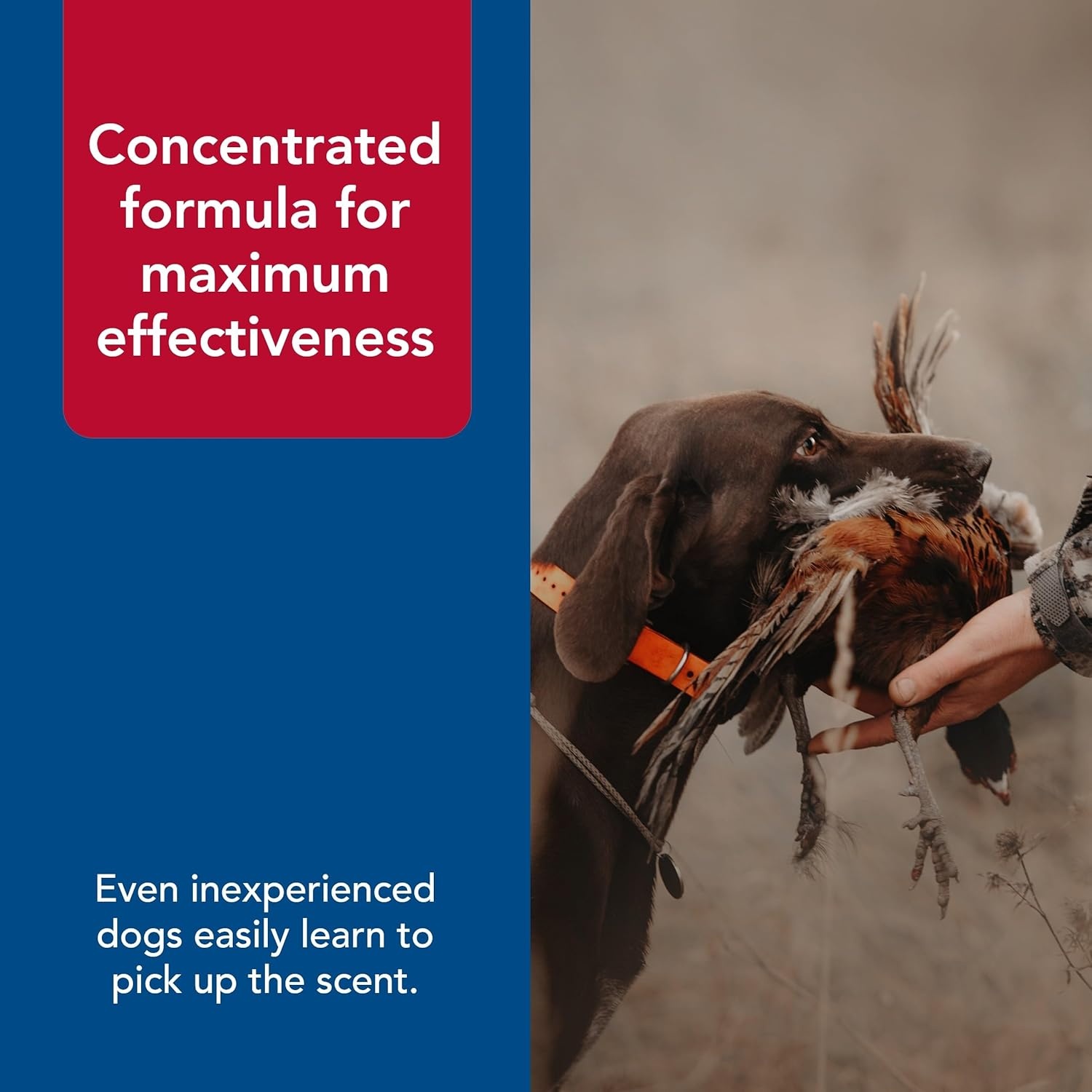 image:imageCoastal Pet Water amp Woods Dog Training Scents by Coastal Pet Maximum Potency Formula Concentrated Scent for Outdoor Training amp Hunting Pheasant 4 Fl Oz