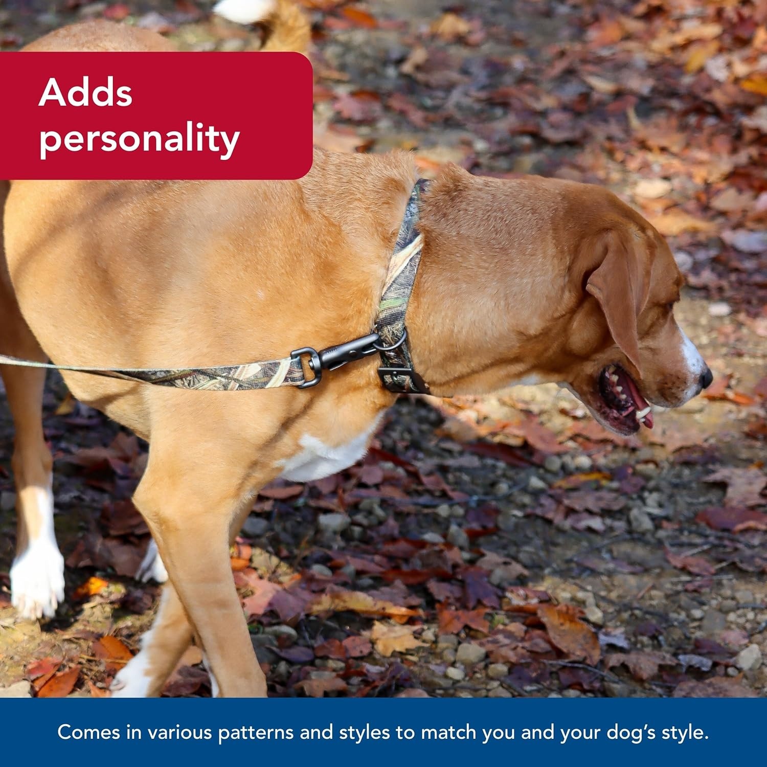 image:imageCoastal Pet Water amp Woods DoublePly Dog Collar Durable Comfortable Adjustable Buckle Shadow Grass Blades Pattern Medium 1 x 20Shadow Grass Blades