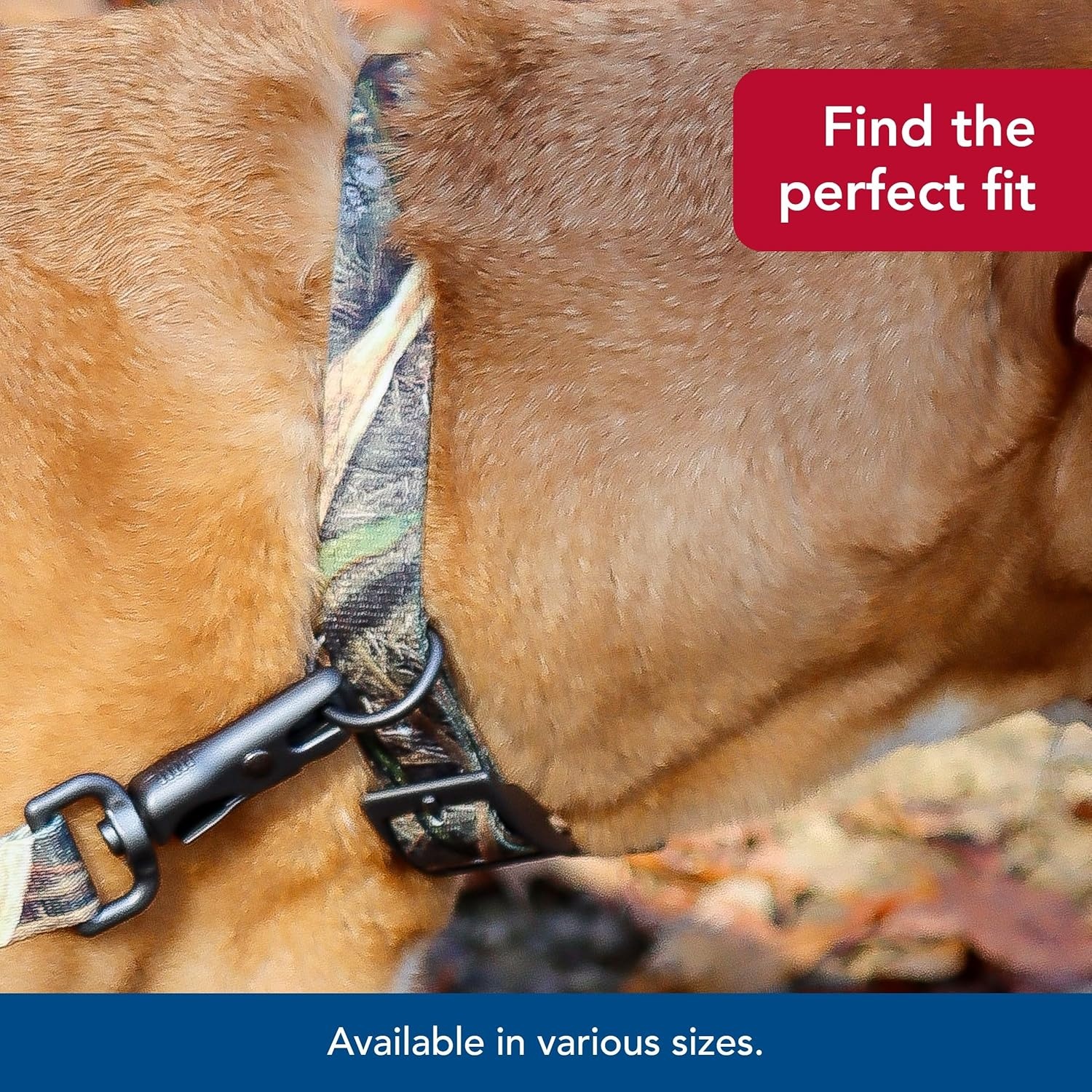 image:imageCoastal Pet Water amp Woods DoublePly Dog Collar Durable Comfortable Adjustable Buckle Shadow Grass Blades Pattern Medium 1 x 20Shadow Grass Blades