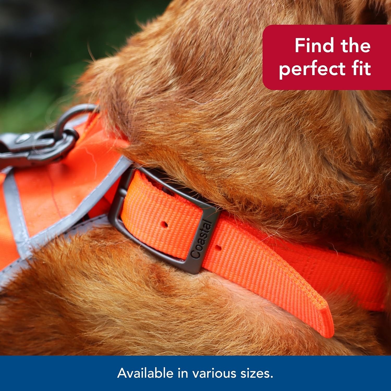 image:imageCoastal Pet Water amp Woods DoublePly Reflective Hound Dog Collar by Coastal Pet Comfortable for Pet Collar Enhanced Visibility DoublePly Nylon Safety Orange Medium 1 x 20Large 1 x 24 Pack of 1