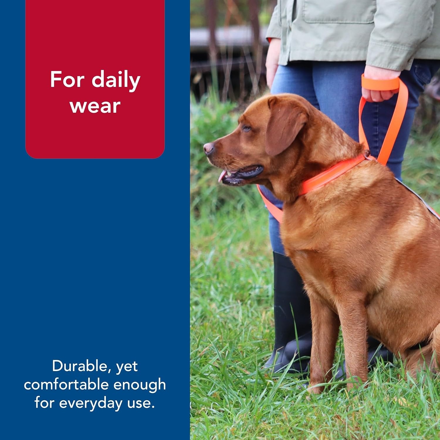 image:imageCoastal Pet Water amp Woods DoublePly Reflective Hound Dog Collar by Coastal Pet Comfortable for Pet Collar Enhanced Visibility DoublePly Nylon Safety Orange Medium 1 x 20Large 1 x 22 Pack of 1