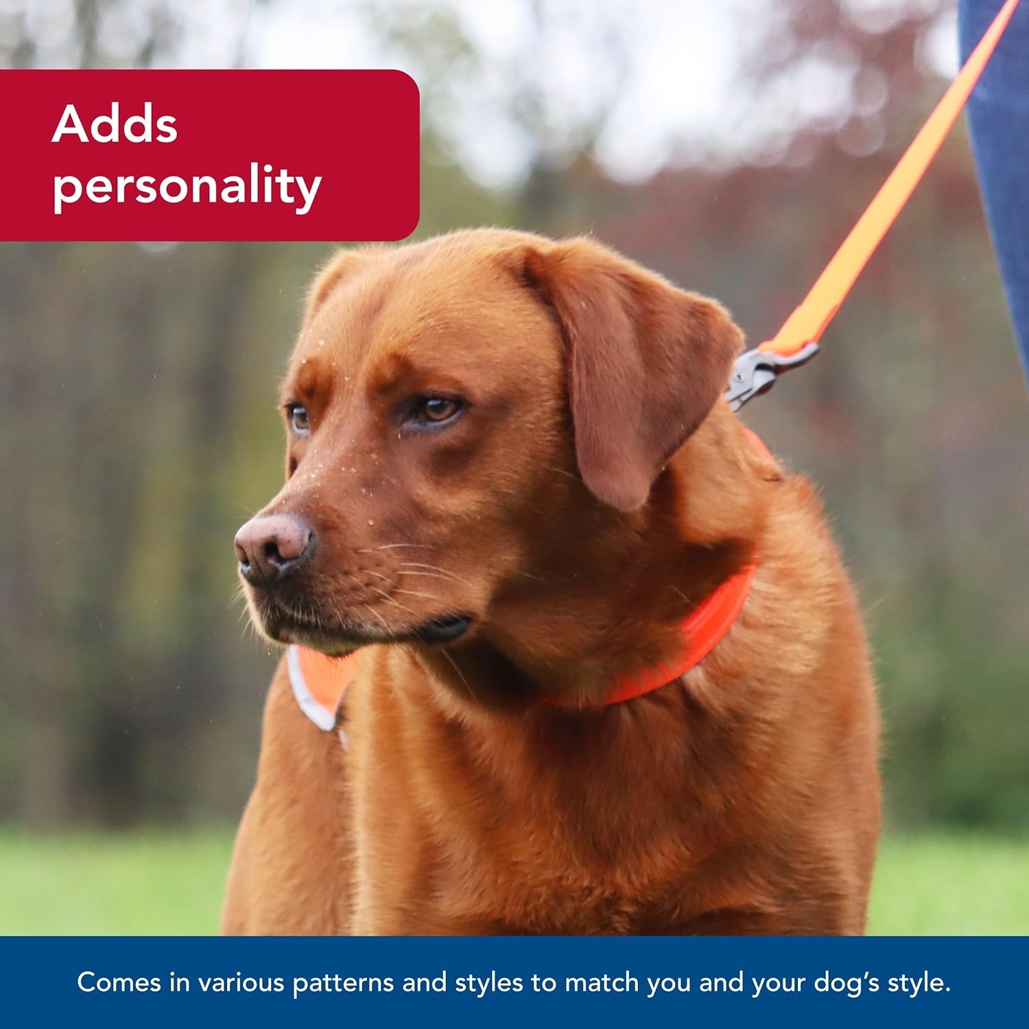 image:imageCoastal Pet Water amp Woods DoublePly Reflective Hound Dog Collar by Coastal Pet Comfortable for Pet Collar Enhanced Visibility DoublePly Nylon Safety Orange Medium 1 x 20Large 1 x 24 Pack of 1