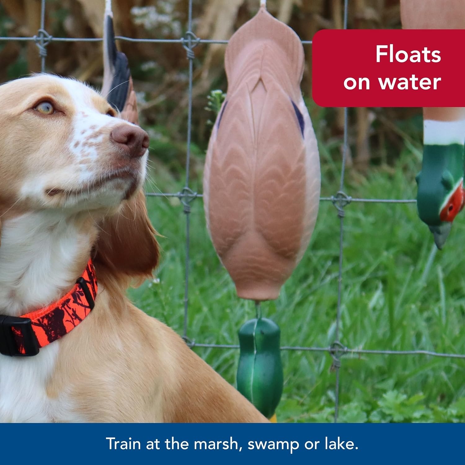 image:imageCoastal Pet Water amp Woods Foam Fowl Dog Trainers Pheasant LargeLarge Pack of 1