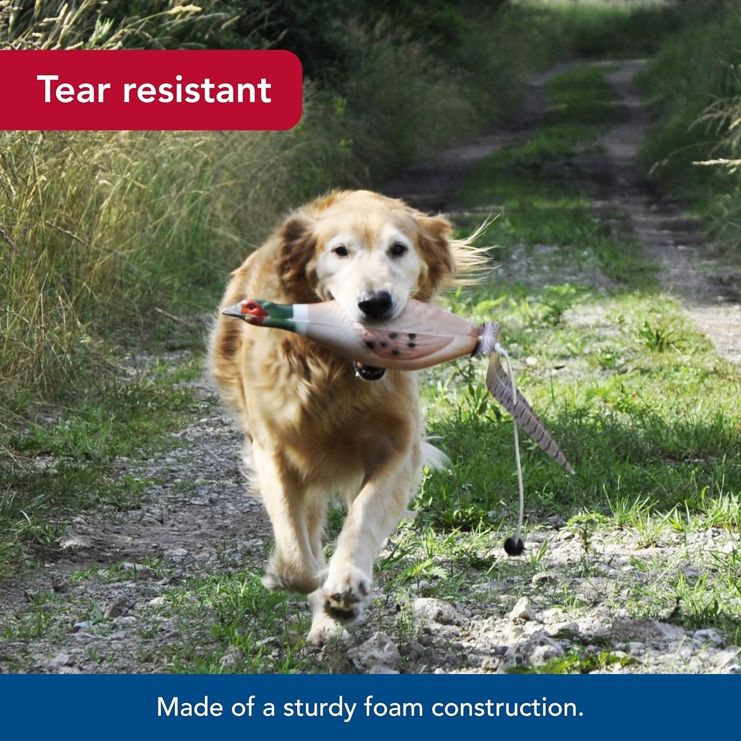 image:imageCoastal Pet Water amp Woods Foam Fowl Dog Trainers Pheasant LargeLarge Pack of 1