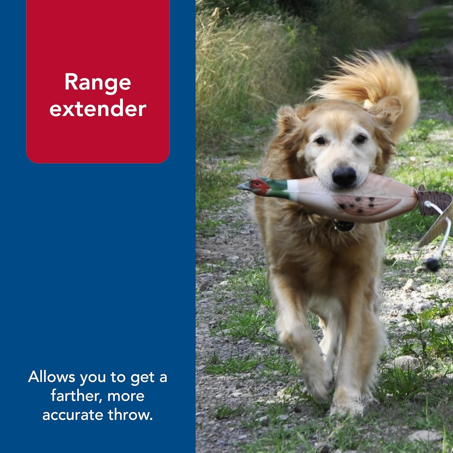 image:imageCoastal Pet Water amp Woods Foam Fowl Dog Trainers Pheasant LargeSmall Pack of 1