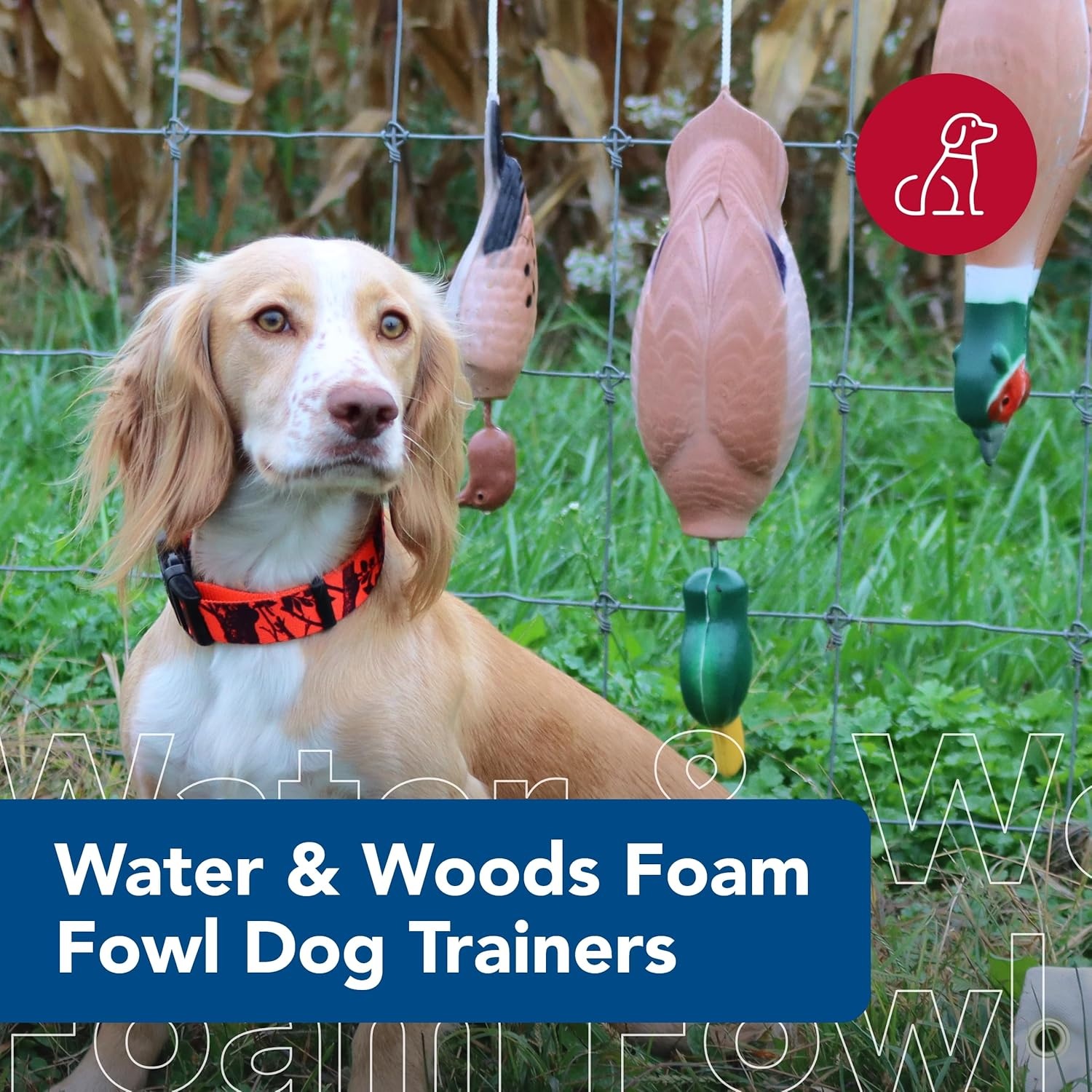 image:imageCoastal Pet Water amp Woods Foam Fowl Dog Trainers Pheasant LargeSmall Pack of 1