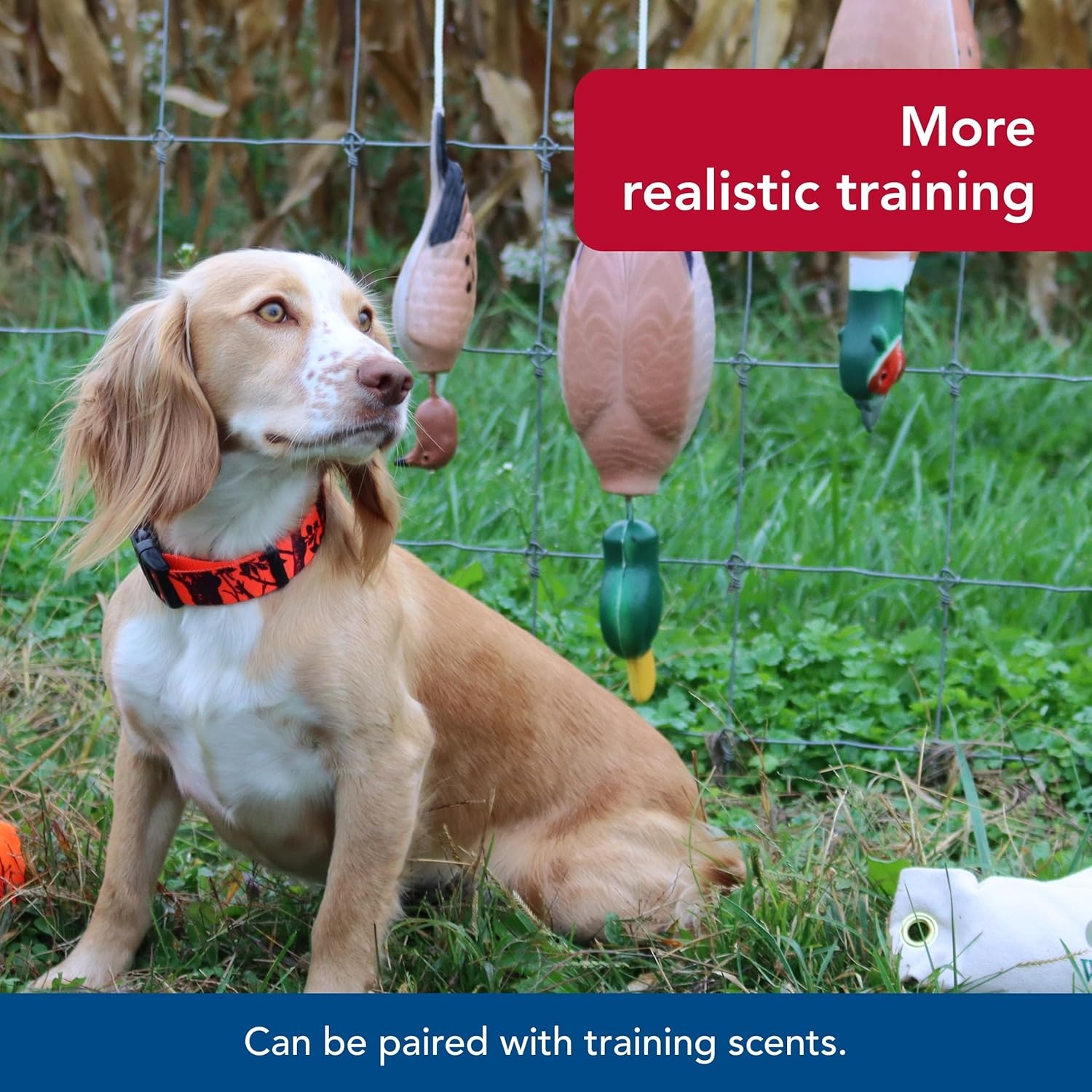 image:imageCoastal Pet Water amp Woods TetheredHead Foam Fowl Dog Trainer Mallard SmallMedium Pack of 1