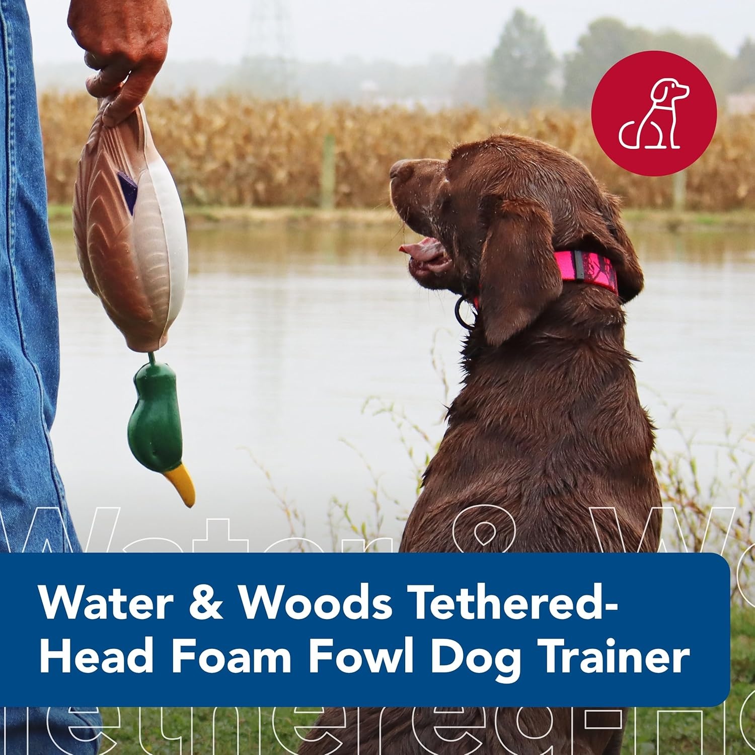 image:imageCoastal Pet Water amp Woods TetheredHead Foam Fowl Dog Trainer Mallard SmallOne Size