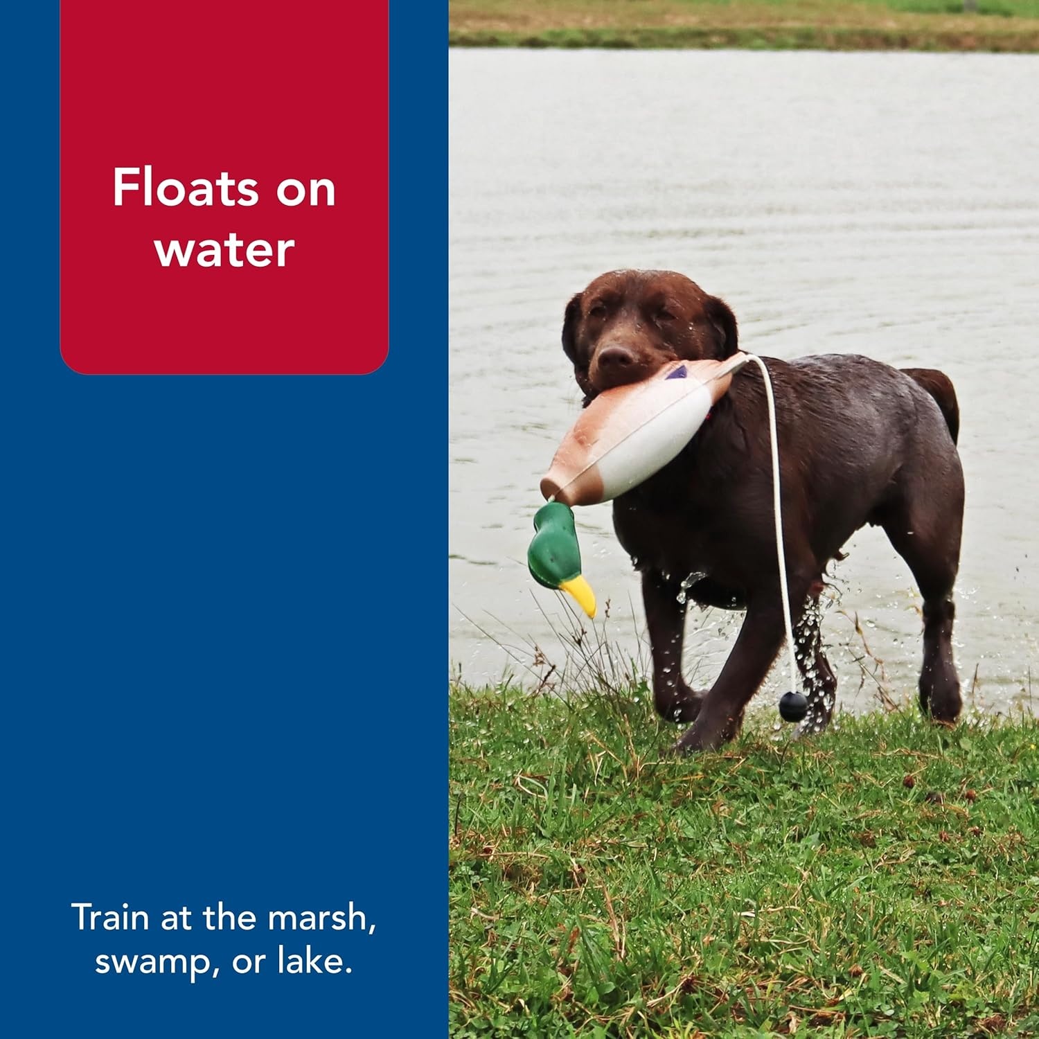 image:imageCoastal Pet Water amp Woods TetheredHead Foam Fowl Dog Trainer Mallard SmallOne Size