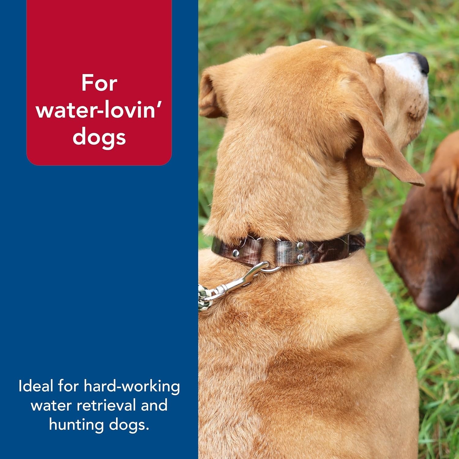 image:imageCoastal Pet Water amp Woods Waterproof Hound Dog Collar with Center Ring by Coastal Pet Durable Dog Collar Odor Resistant Easy Self Untangling Shadow Grass Blades Medium 1 x 20Shadow Grass Blades