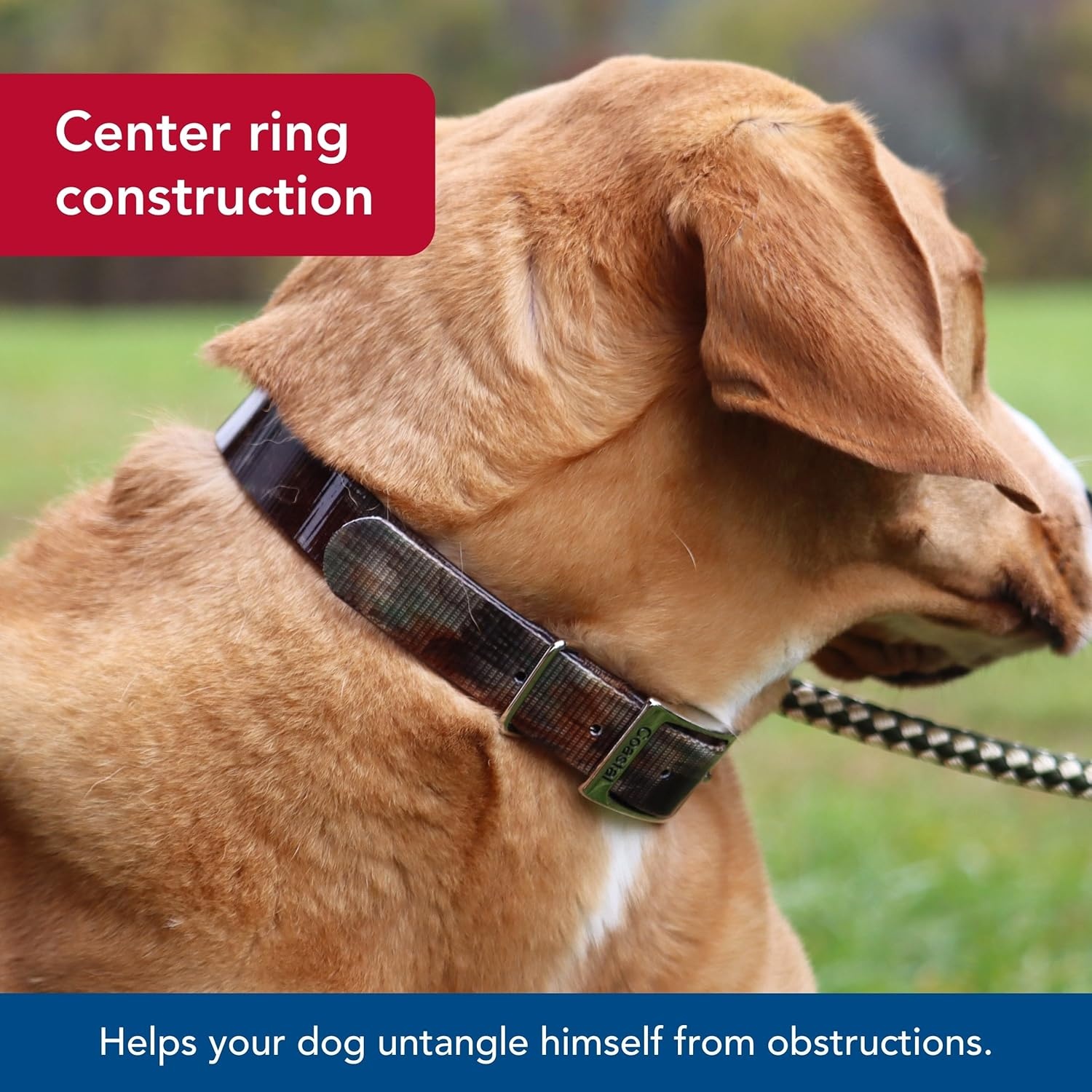 image:imageCoastal Pet Water amp Woods Waterproof Hound Dog Collar with Center Ring by Coastal Pet Durable Dog Collar Odor Resistant Easy Self Untangling Shadow Grass Blades Medium 1 x 20Shadow Grass Blades