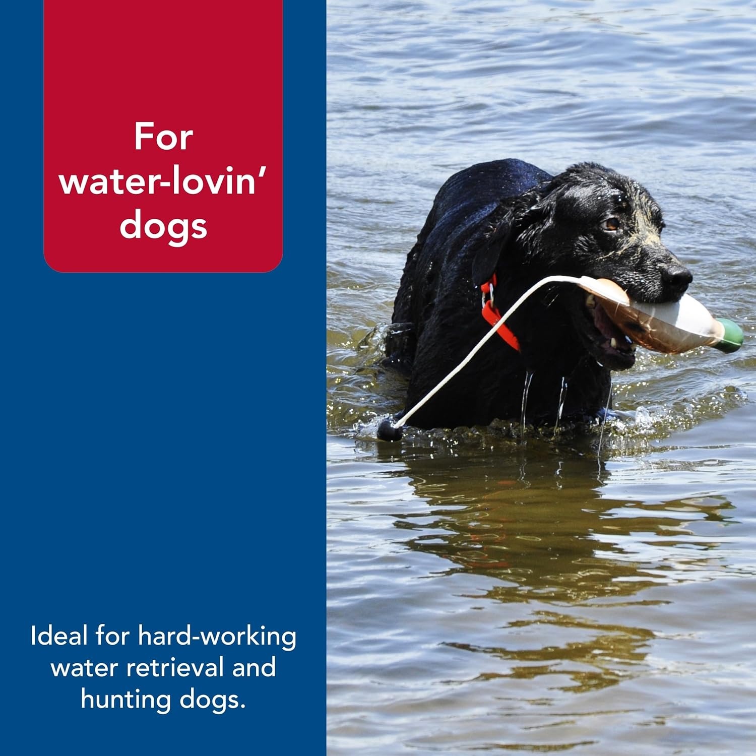 image:imageCoastal Pet Water amp Woods Waterproof Hound Dog Collar with Center Ring by Coastal Pet Durable Dog Collar Odor Resistant Easy Self Untangling Shadow Grass Blades Medium 1 x 20Orange