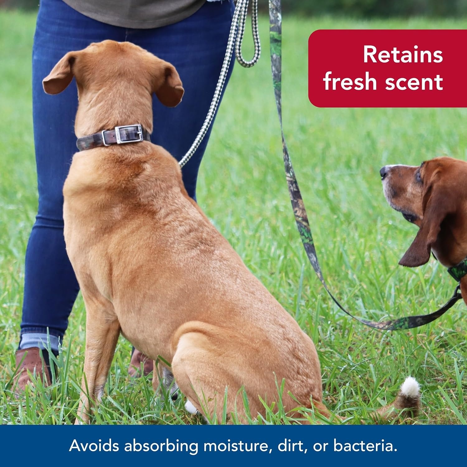 image:imageCoastal Pet Water amp Woods Waterproof Hound Dog Collar with Center Ring by Coastal Pet Durable Dog Collar Odor Resistant Easy Self Untangling Shadow Grass Blades Medium 1 x 20Shadow Grass Blades