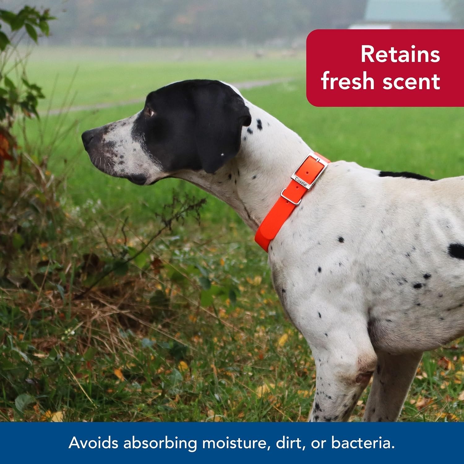 image:imageCoastal Pet Water amp Woods Waterproof Hound Dog Collar with Center Ring by Coastal Pet Durable Dog Collar Odor Resistant Easy Self Untangling Shadow Grass Blades Medium 1 x 20Orange