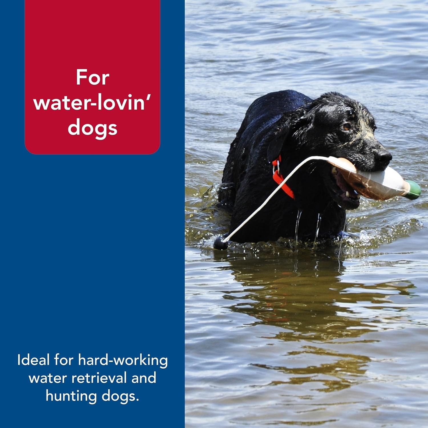 image:imageCoastal Pet Water amp Woods Waterproof Hound Dog Collar with Center Ring by Coastal Pet Durable Dog Collar Odor Resistant Easy Self Untangling Shadow Grass Blades Medium 1 x 20Orange