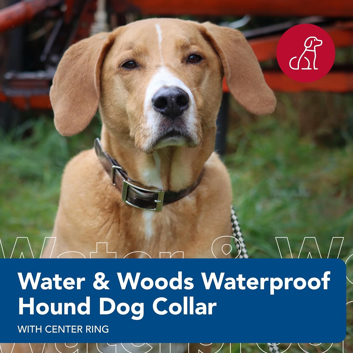 image:imageCoastal Pet Water amp Woods Waterproof Hound Dog Collar with Center Ring by Coastal Pet Durable Dog Collar Odor Resistant Easy Self Untangling Shadow Grass Blades Medium 1 x 20Shadow Grass Blades