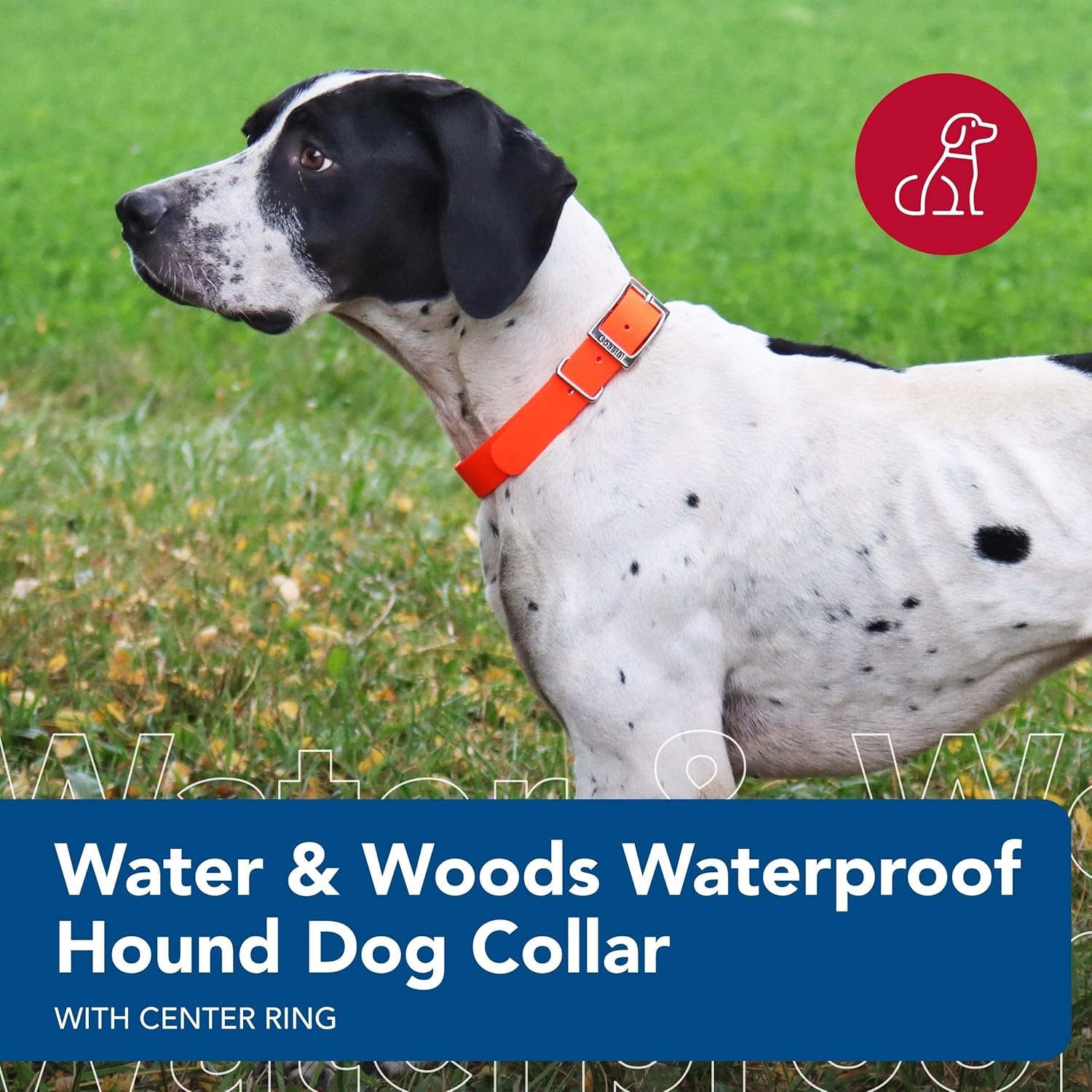 image:imageCoastal Pet Water amp Woods Waterproof Hound Dog Collar with Center Ring by Coastal Pet Durable Dog Collar Odor Resistant Easy Self Untangling Shadow Grass Blades Medium 1 x 20Orange