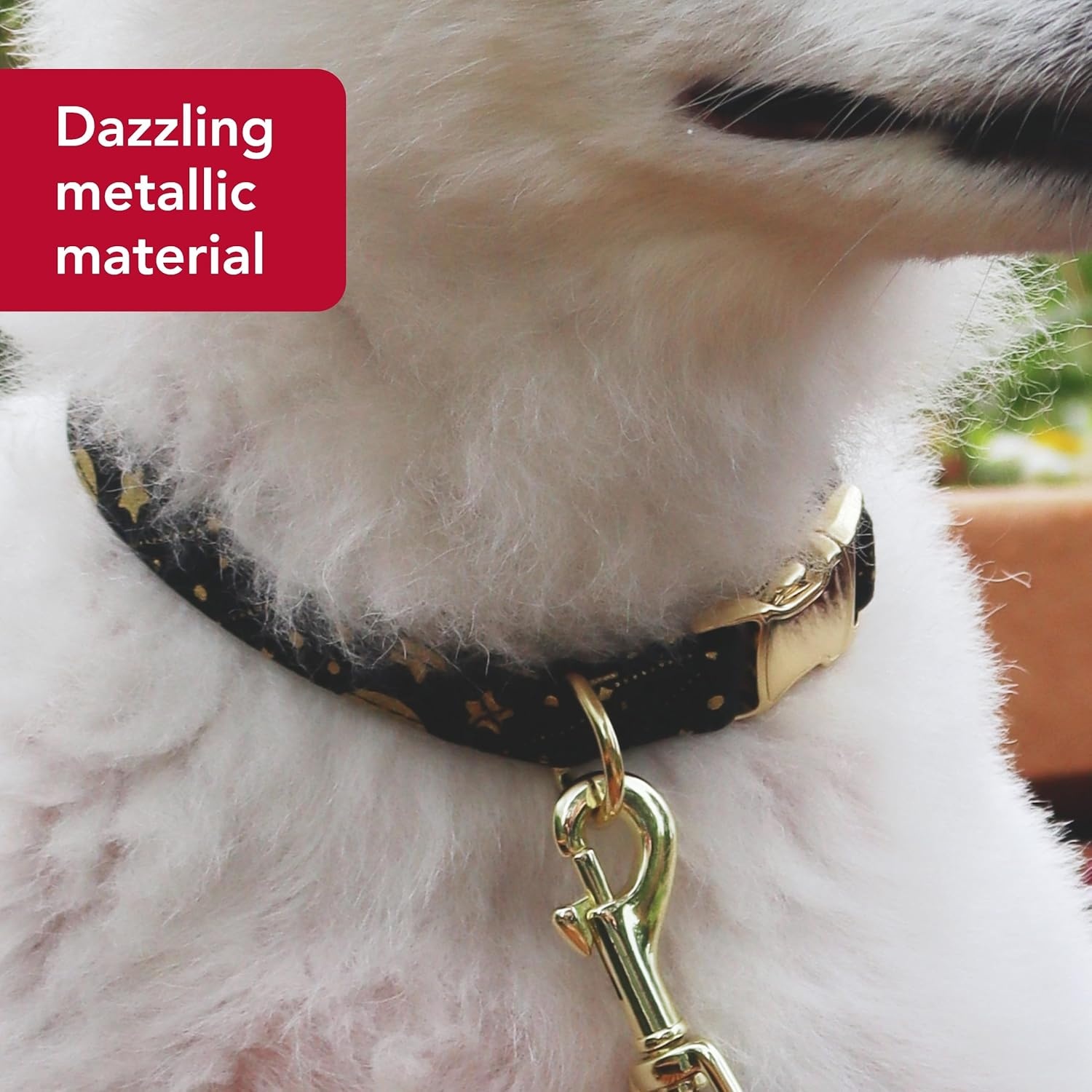 image:imageCoastal Pet Accent Metallic Adjustable Dog Collar Comfortable Dog Collar Sturdy Metal Buckle Functional amp Aesthetic for Pets Bright Black Galaxy 58 x 1218Bright Black Galaxy