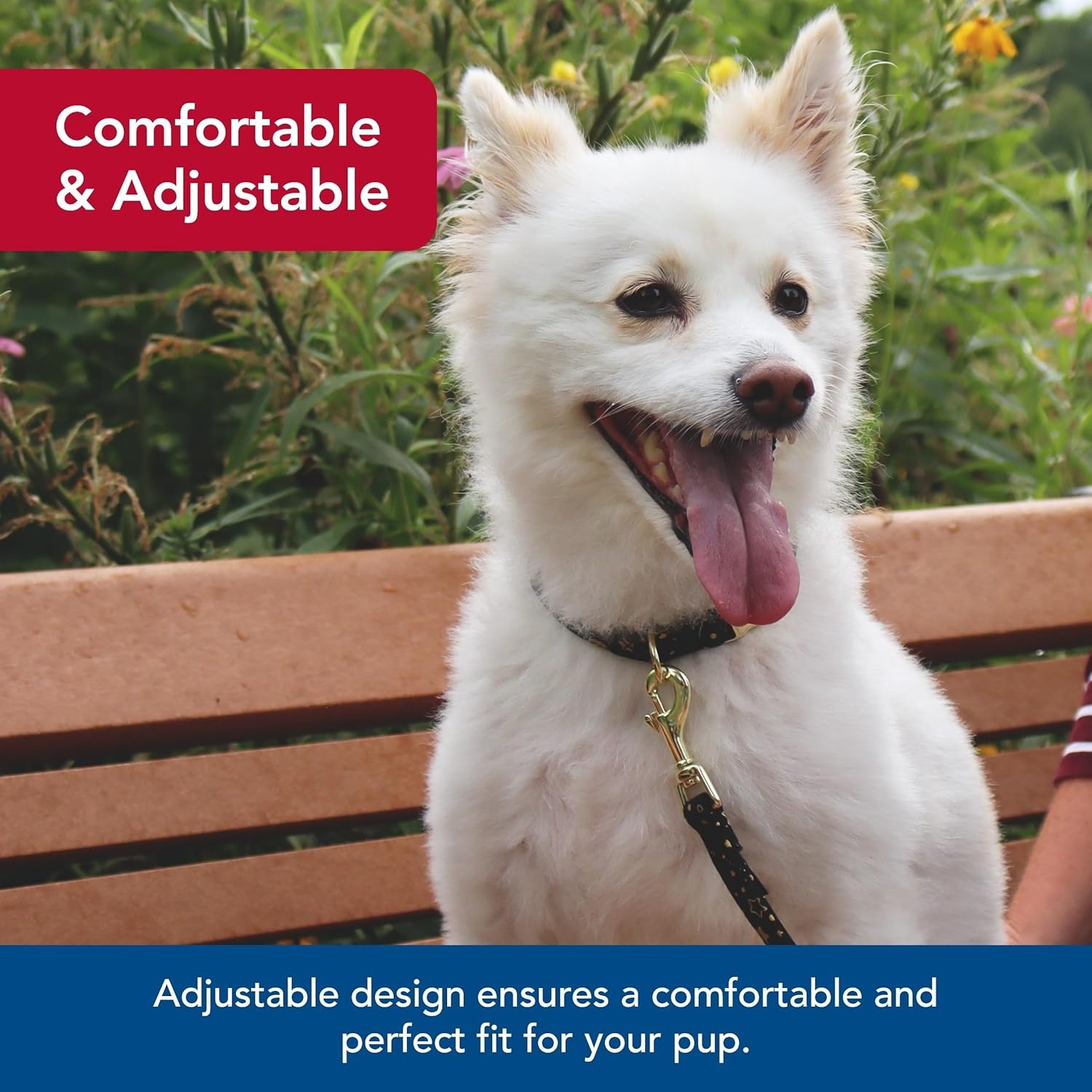 image:imageCoastal Pet Accent Metallic Adjustable Dog Collar Comfortable Dog Collar Sturdy Metal Buckle Functional amp Aesthetic for Pets Bright Black Galaxy 58 x 1218Bright Black Galaxy