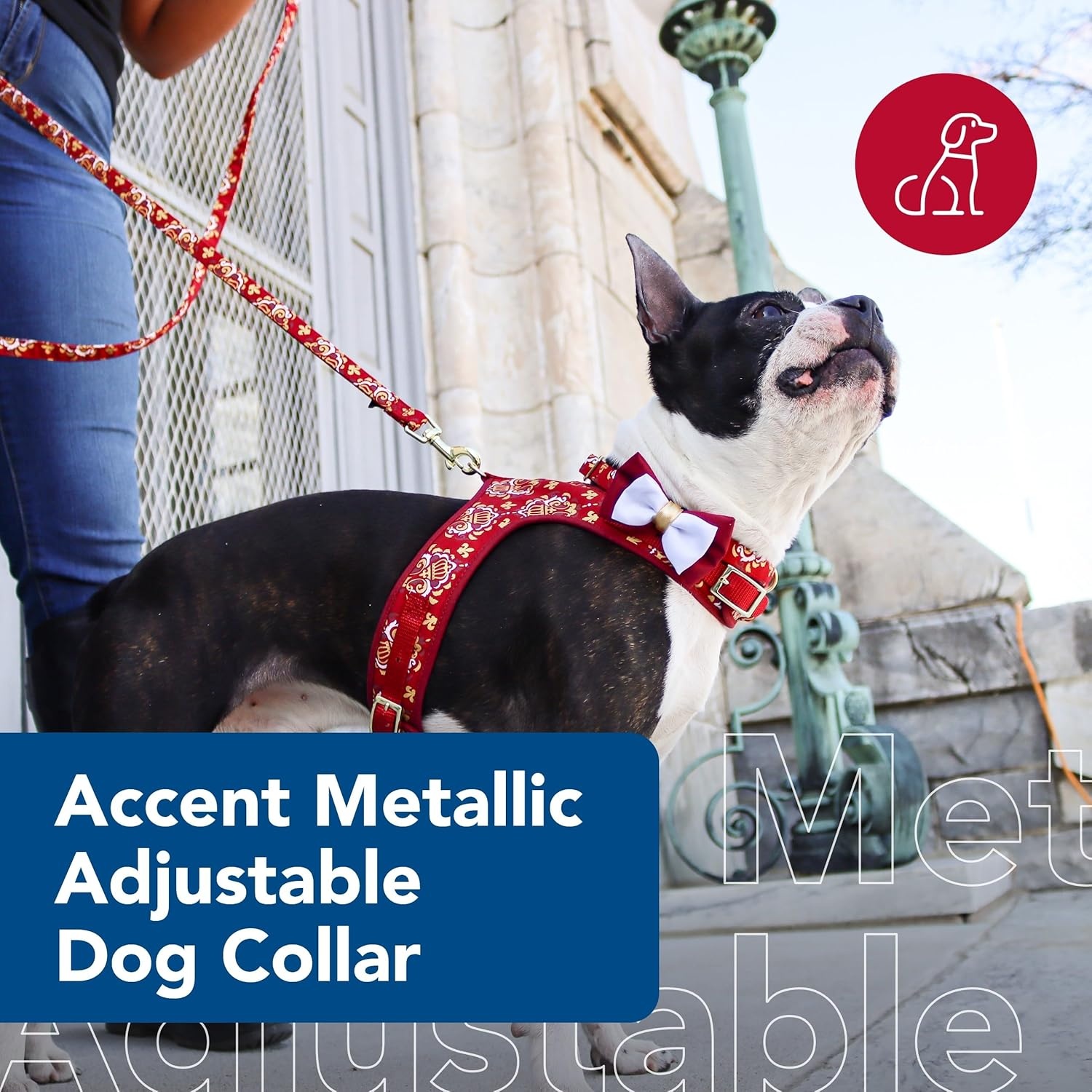 image:imageCoastal Pet Accent Metallic Adjustable Dog Collar Comfortable Dog Collar Sturdy Metal Buckle Functional amp Aesthetic for Pets Bright Black Galaxy 58 x 1218Royal Burgundy Crowns
