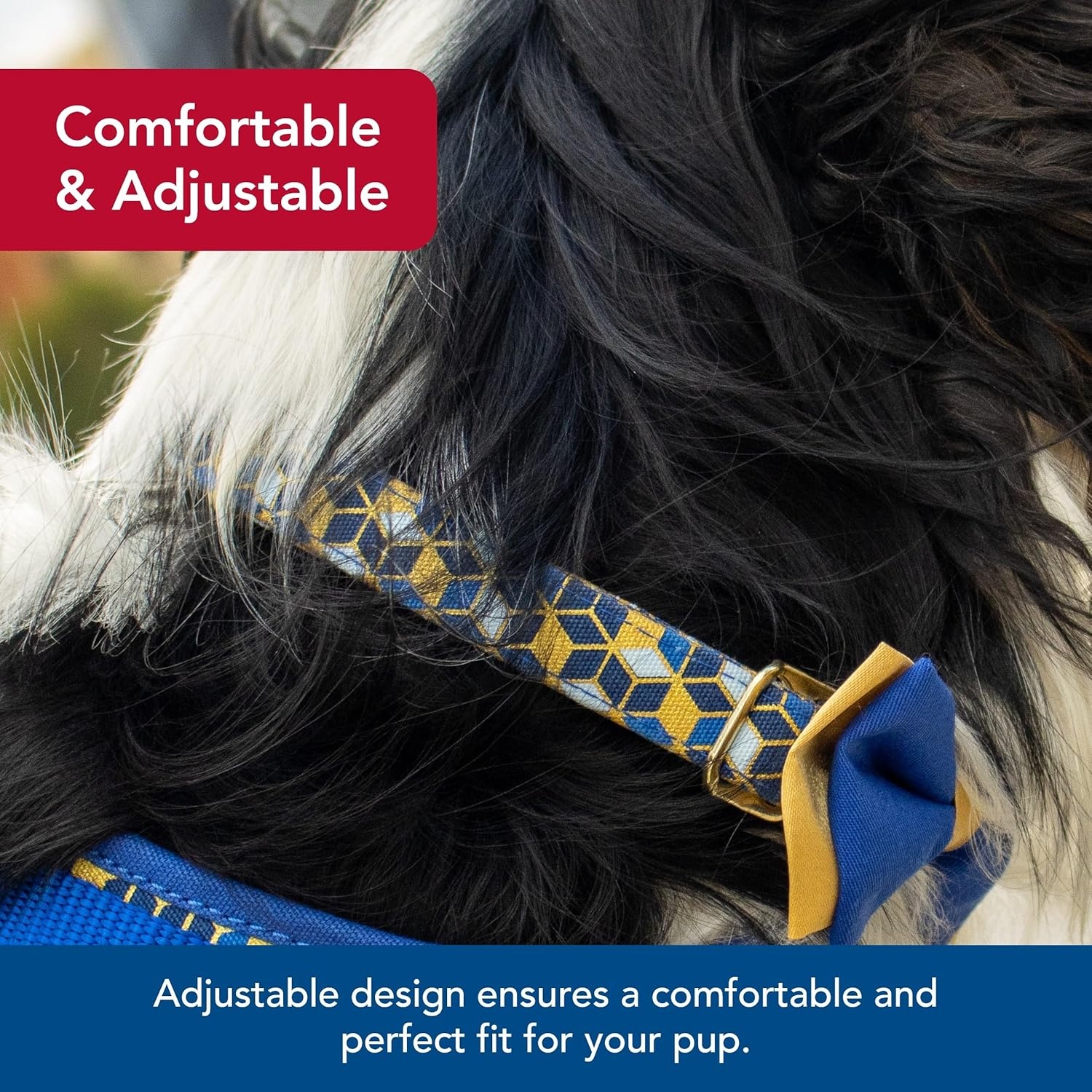 image:imageCoastal Pet Accent Metallic Adjustable Dog Collar Comfortable Dog Collar Sturdy Metal Buckle Functional amp Aesthetic for Pets Bright Black Galaxy 58 x 1218Classic Blue Diamonds