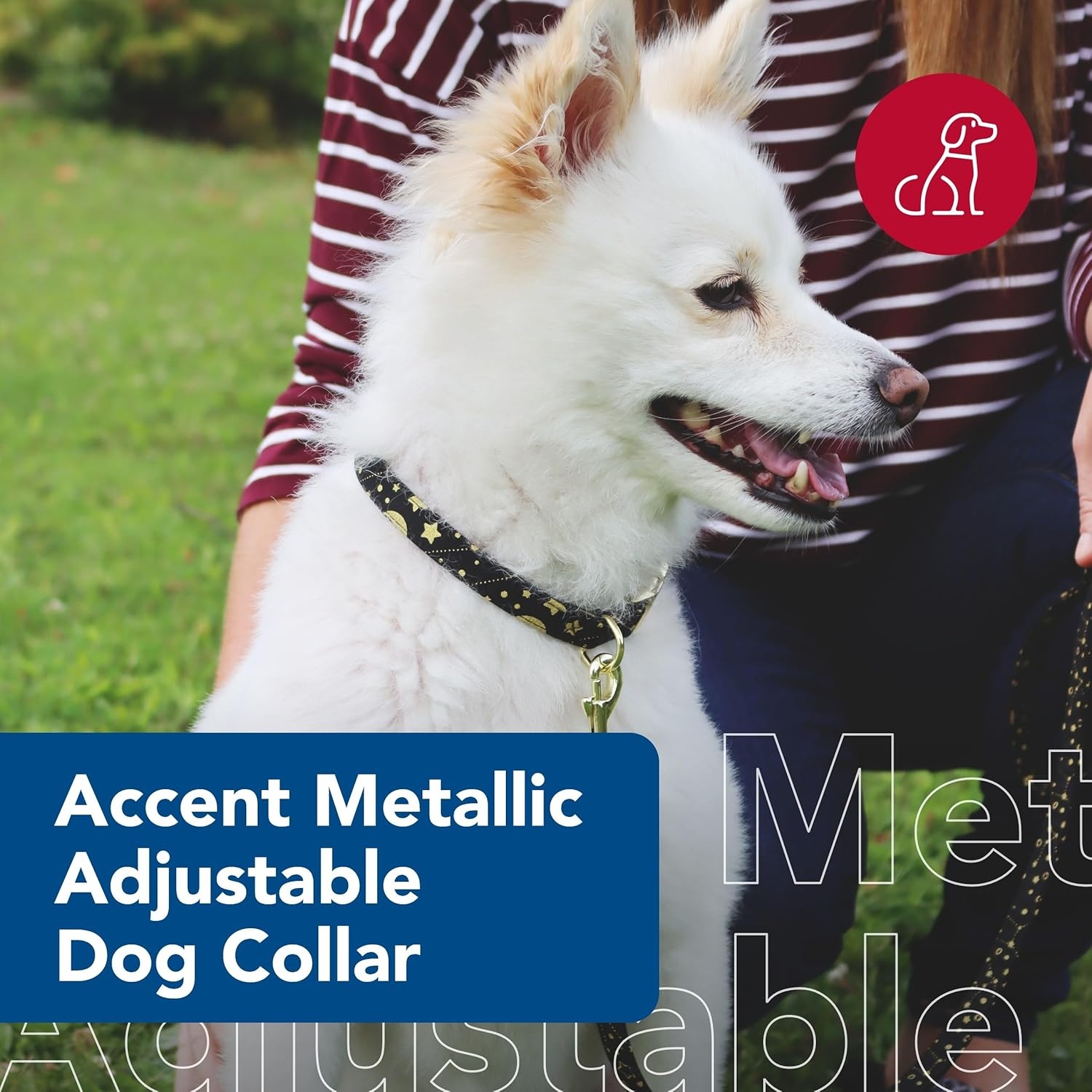 image:imageCoastal Pet Accent Metallic Adjustable Dog Collar Comfortable Dog Collar Sturdy Metal Buckle Functional amp Aesthetic for Pets Bright Black Galaxy 58 x 1218Bright Black Galaxy