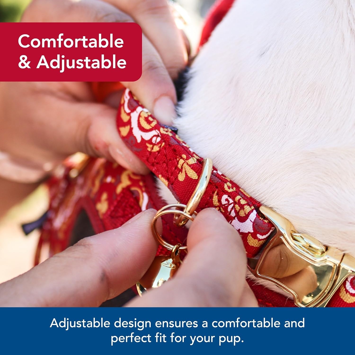 image:imageCoastal Pet Accent Metallic Adjustable Dog Collar Comfortable Dog Collar Sturdy Metal Buckle Functional amp Aesthetic for Pets Bright Black Galaxy 58 x 1218Royal Burgundy Crowns