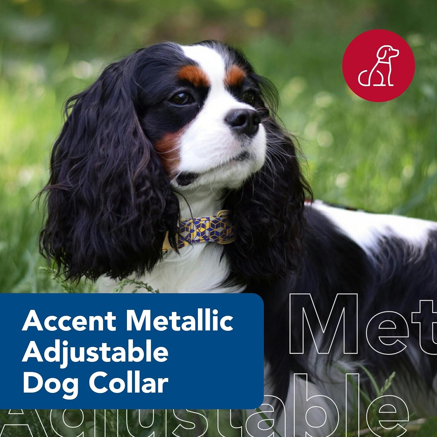 image:imageCoastal Pet Accent Metallic Adjustable Dog Collar Comfortable Dog Collar Sturdy Metal Buckle Functional amp Aesthetic for Pets Bright Black Galaxy 58 x 1218Classic Blue Diamonds