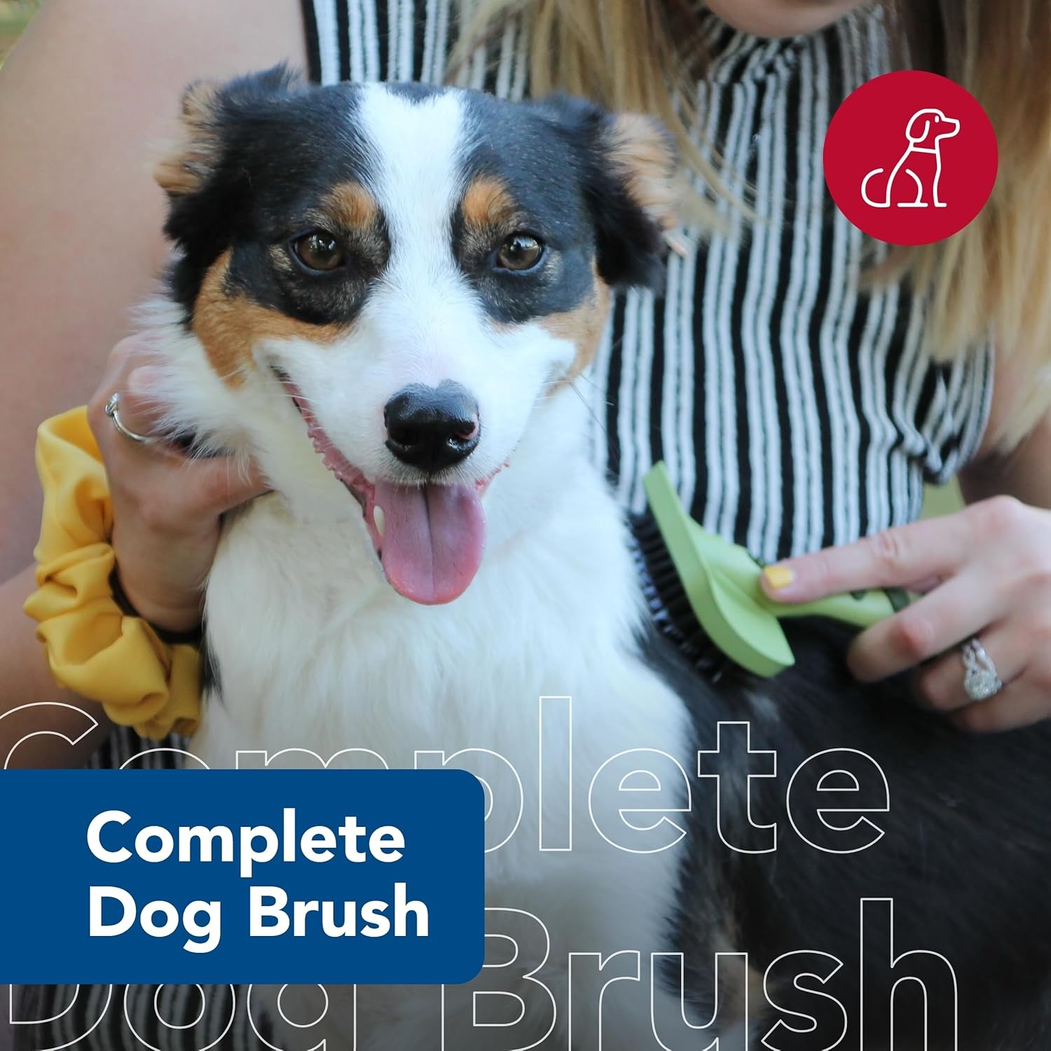 image:imageCoastal Pet Safari Complete Dog Brush 2in1 Design Dog Slicker Brush with Grooming Bristles Detangling amp Dematting Dog Brush One Size