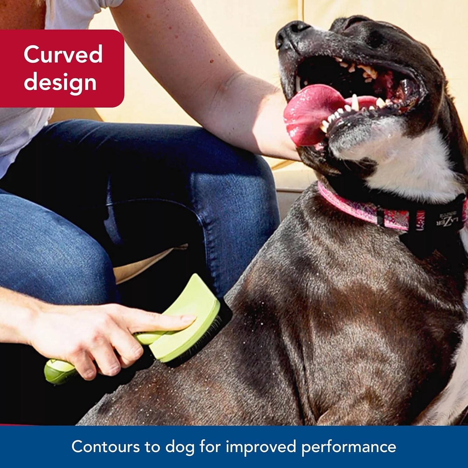 image:imageCoastal Pet Safari Curved Firm Slicker Brush For Dog Grooming and Detangling All Hair Types 65 x 306