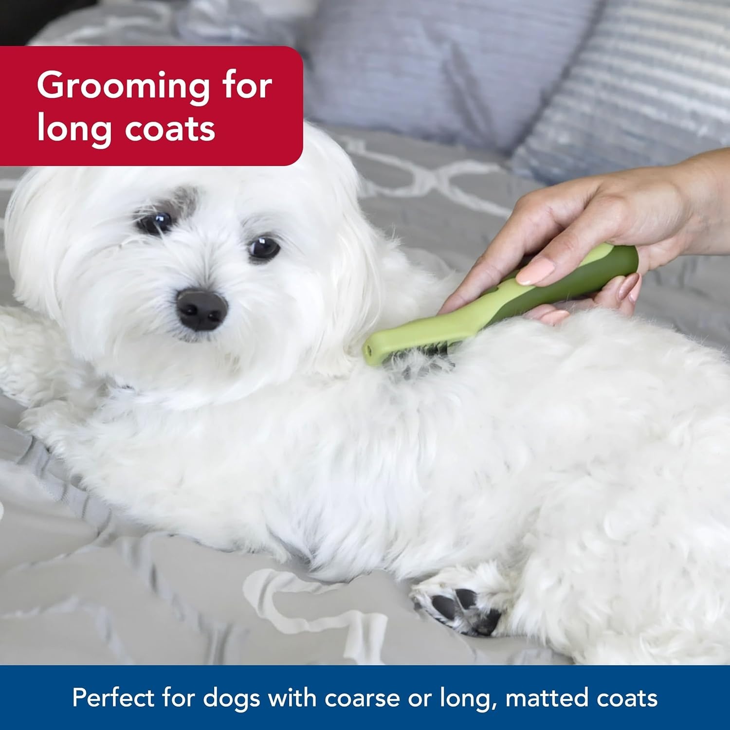 image:imageCoastal Pet Safari Dematting Comb Brush for Dogs with Coarse Matted or Medium to Long Hair Coats One Size
