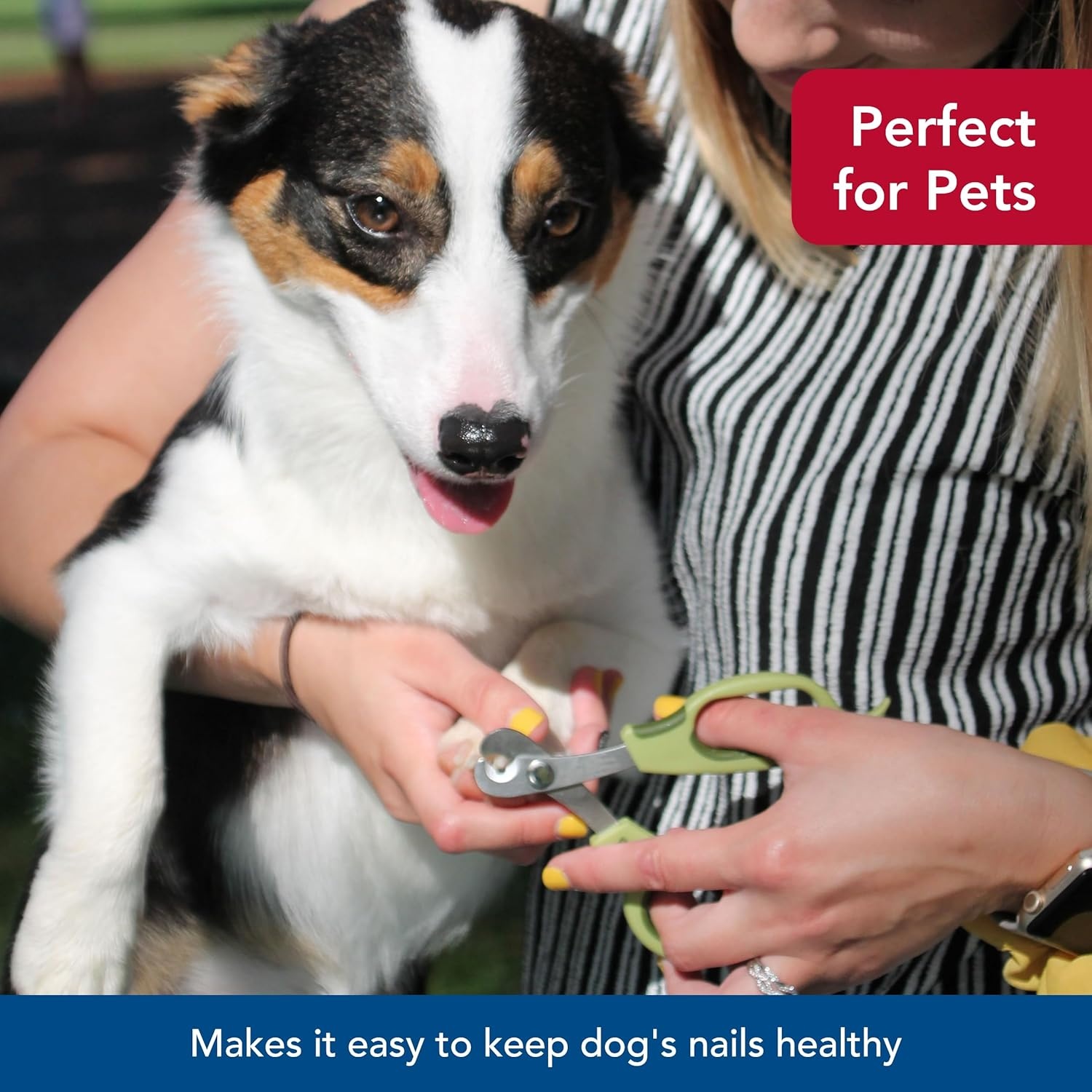 image:imageCoastal Pet Safari Dog Deluxe Nail Trimmer Large Finger Hole and Easy Grip Stainless Steel Pet Nail Clippers One Size
