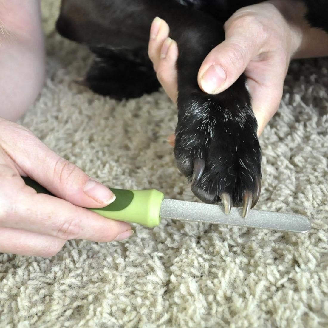 image:imageCoastal Pet Safari Dog Diamond Nail File Diamond Finish for Smooth Nails Removes Burs from Outdoor amp Indoor Dogs One Size