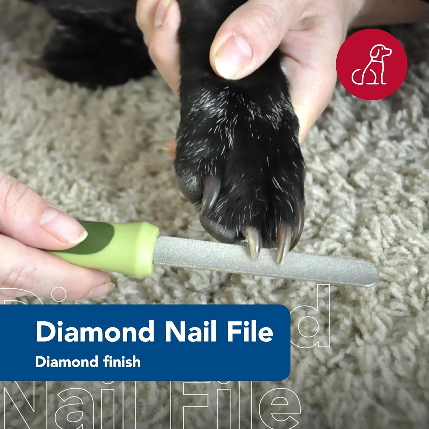image:imageCoastal Pet Safari Dog Diamond Nail File Diamond Finish for Smooth Nails Removes Burs from Outdoor amp Indoor Dogs One Size