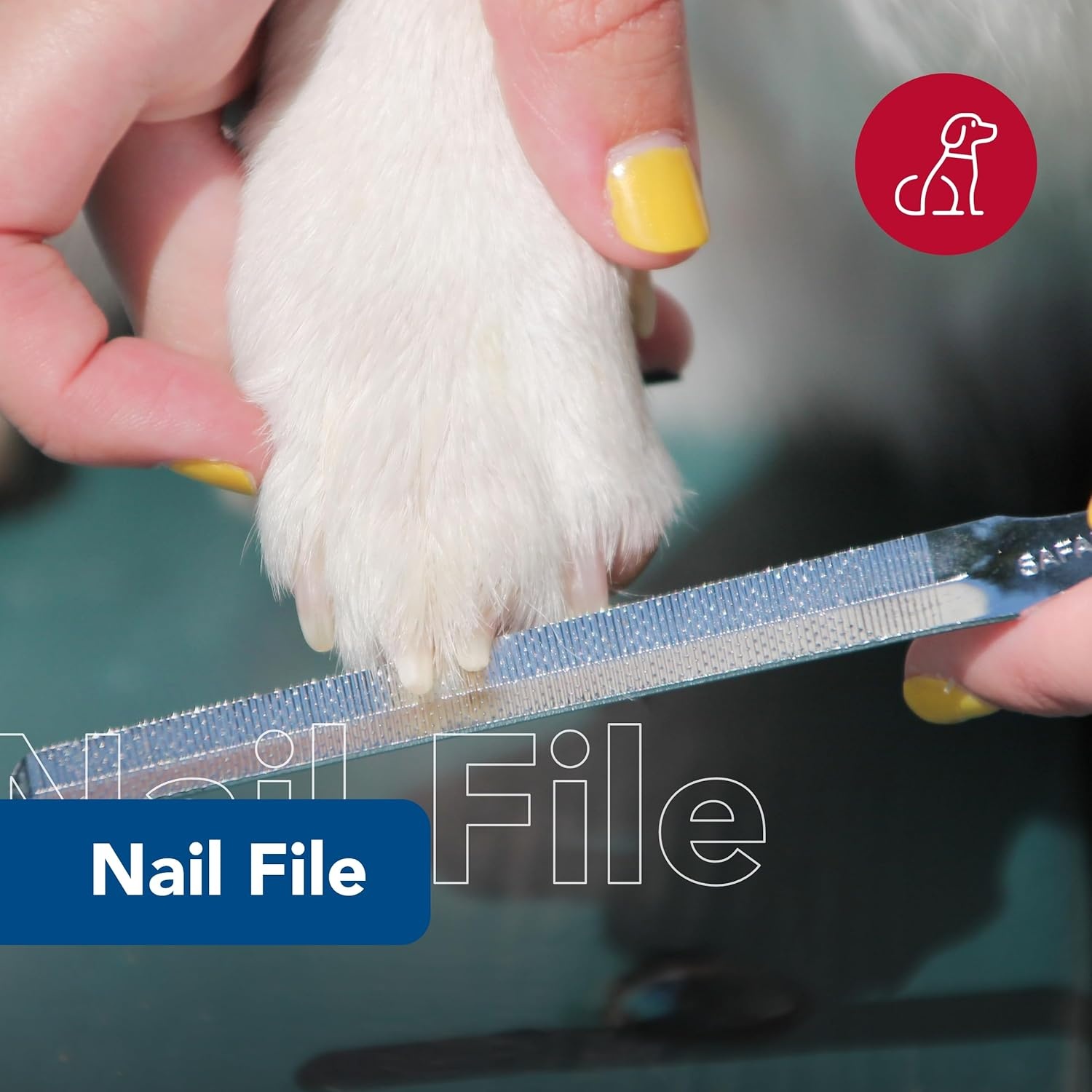 image:imageCoastal Pet Safari Dog Nail File Ensure a Smooth Finish After Cutting Remove Burs from Outdoor amp Indoor Dogs One Size