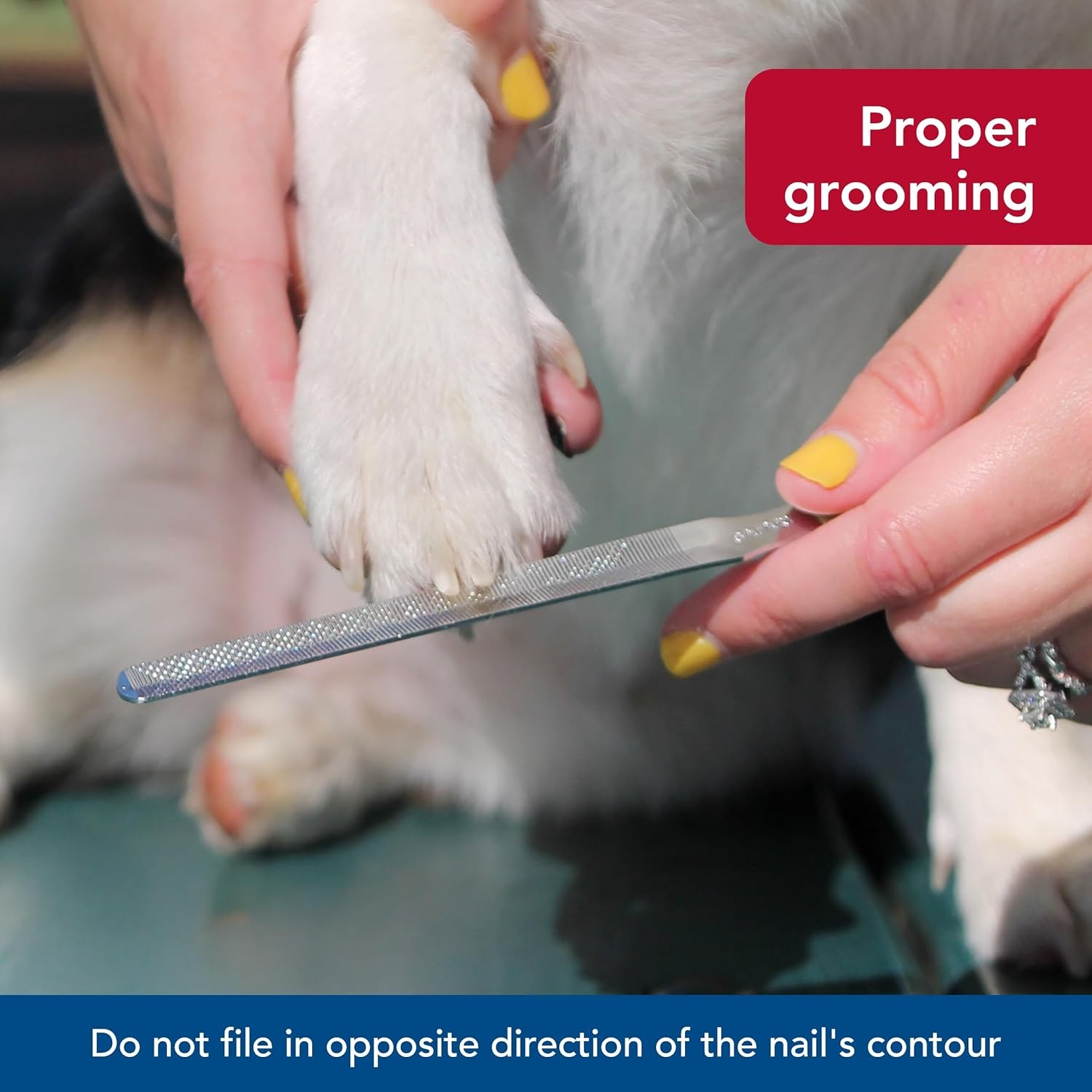 image:imageCoastal Pet Safari Dog Nail File Ensure a Smooth Finish After Cutting Remove Burs from Outdoor amp Indoor Dogs One Size