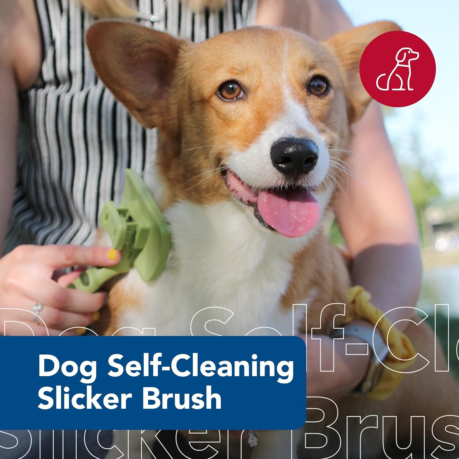 image:imageCoastal Pet Safari Dog SelfCleaning Slicker Brush Dog Deshedding Brush Prevents Mats and Tangled Hair For Dogs with Short or Long Hair Medium 425 x 406Medium