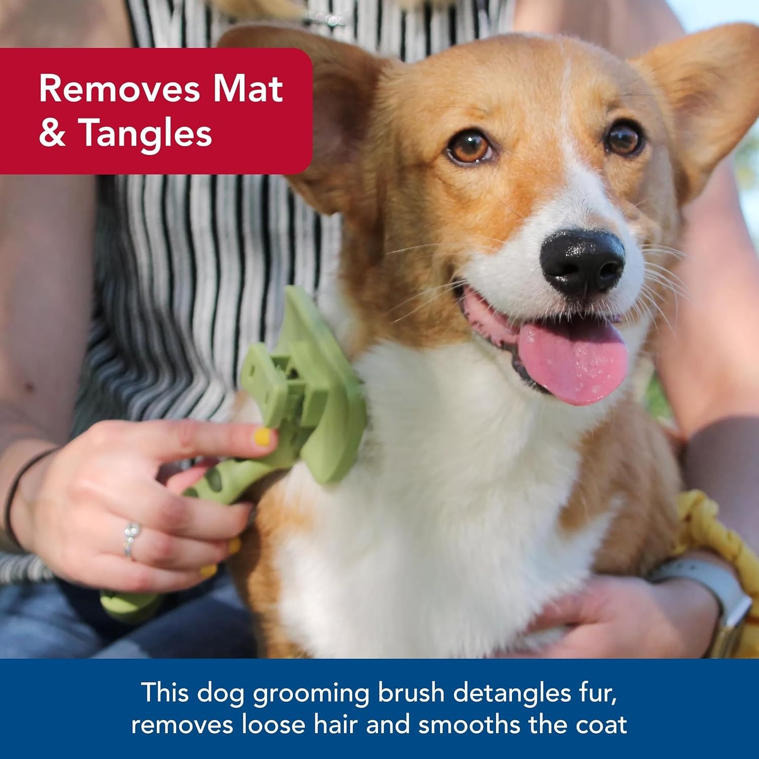 image:imageCoastal Pet Safari Dog SelfCleaning Slicker Brush Dog Deshedding Brush Prevents Mats and Tangled Hair For Dogs with Short or Long Hair Medium 425 x 406Small